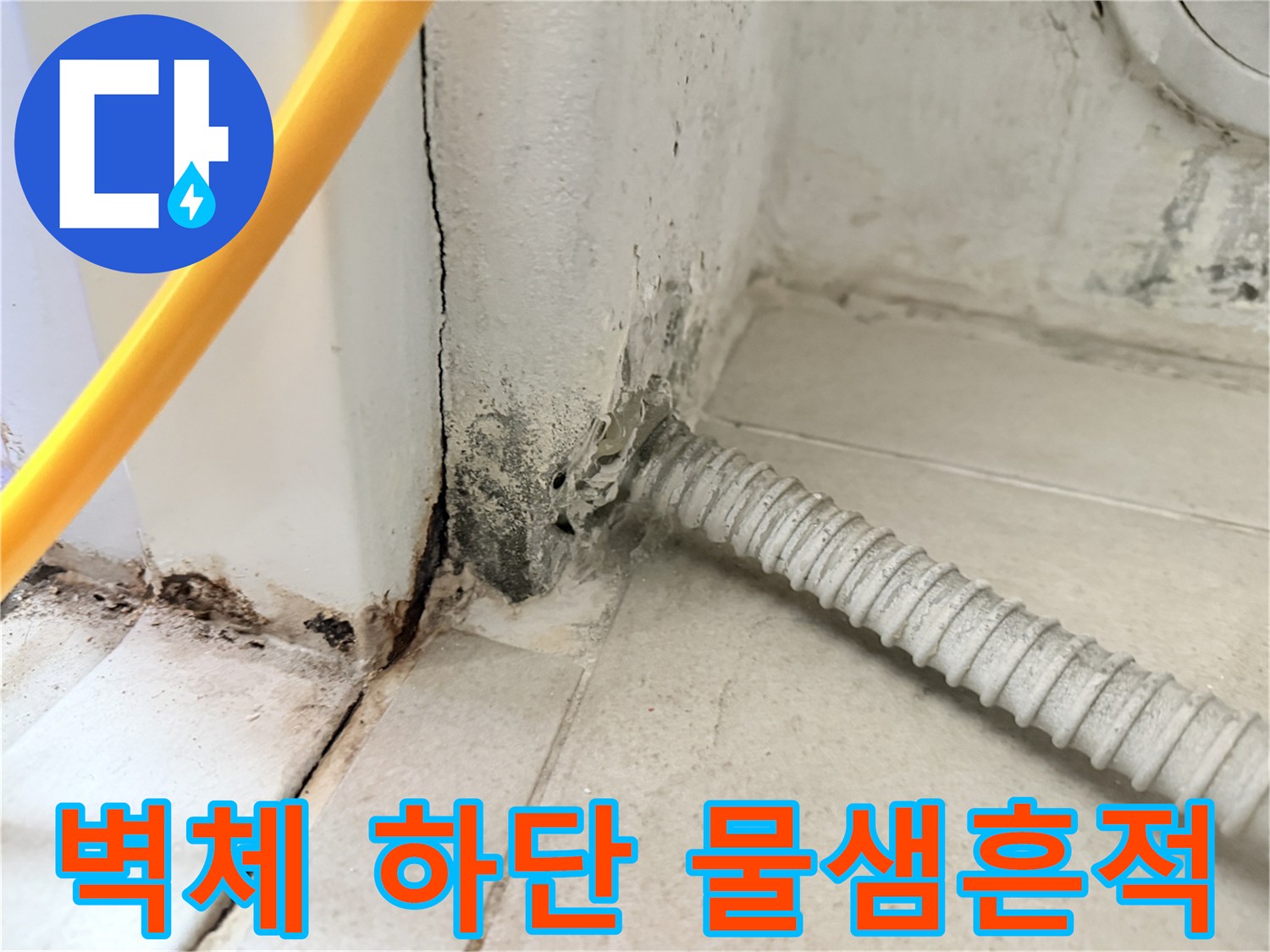 배관-통로-주변의-습기-및-곰팡이-발생-현황