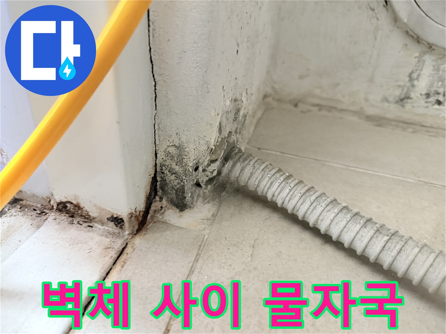 배관-통로-주변의-습한-벽면-상태