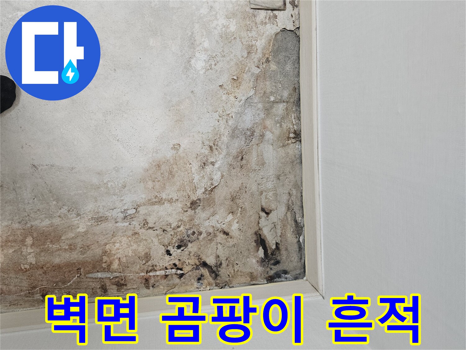 보일러실 내부-축축하게 젖은 벽면과 오염물