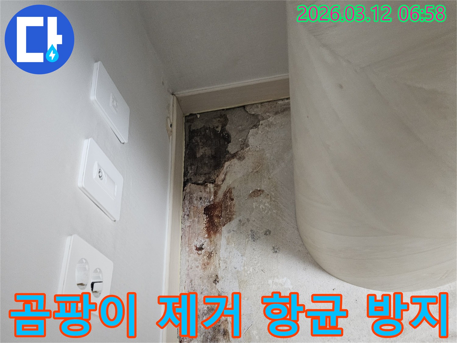 빌라-벽면-하단부-곰팡이-제거-및-항균-방지-솔루션-전-사진