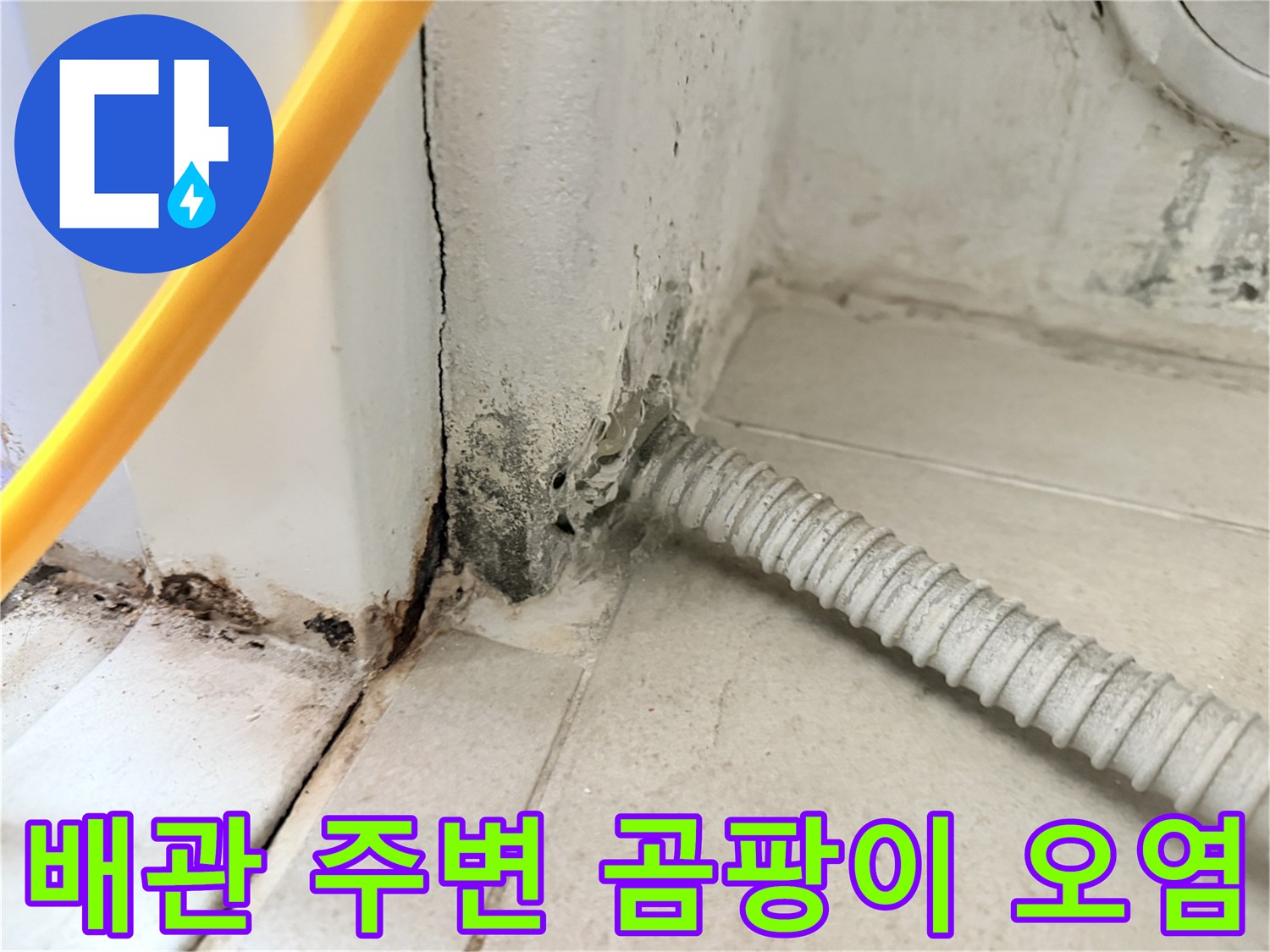 하얀색-벽체-사이로-번진-곰팡이-흔적