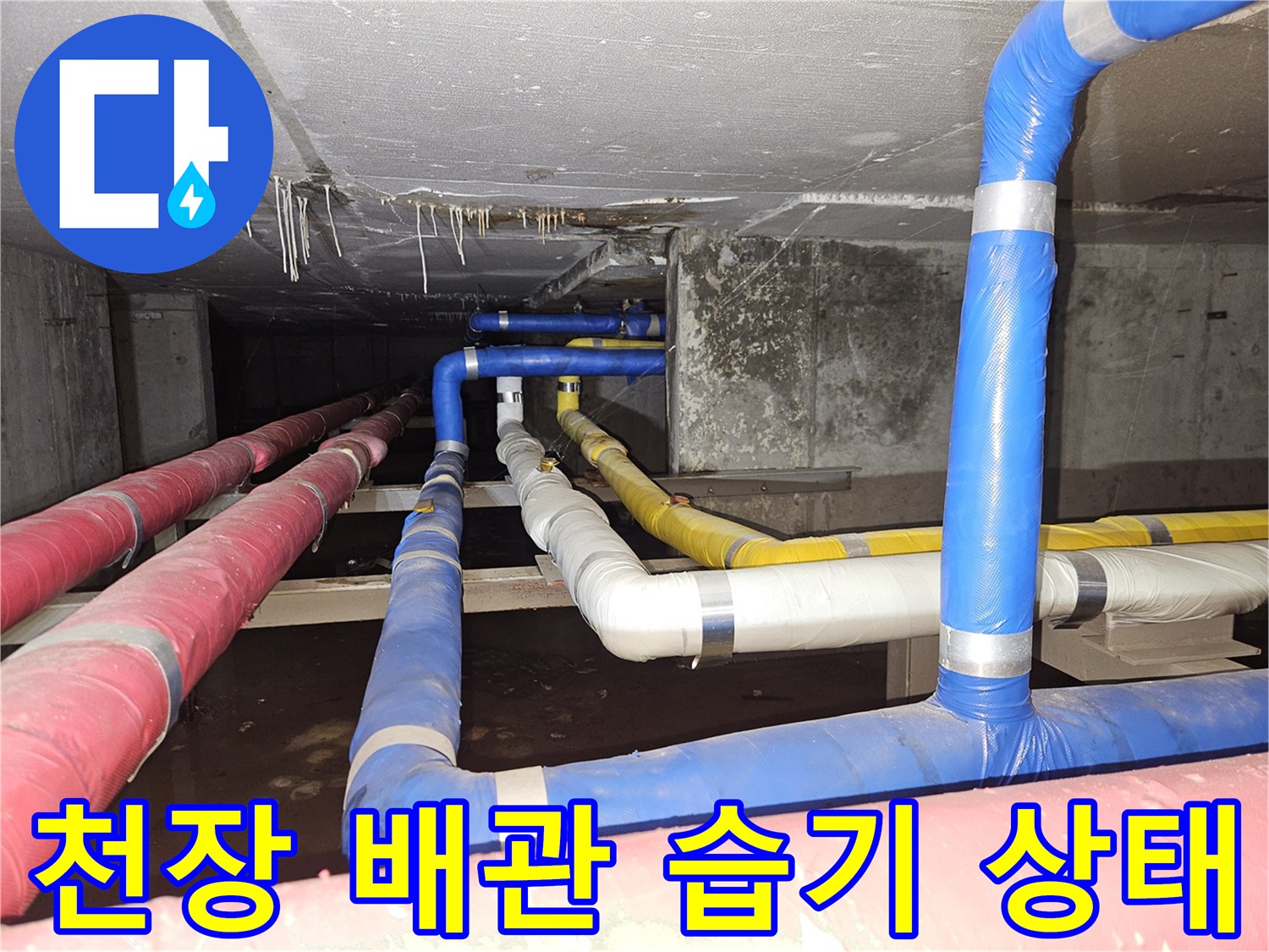 구미동 빌라 지하-젖어 있는 천장 배관들