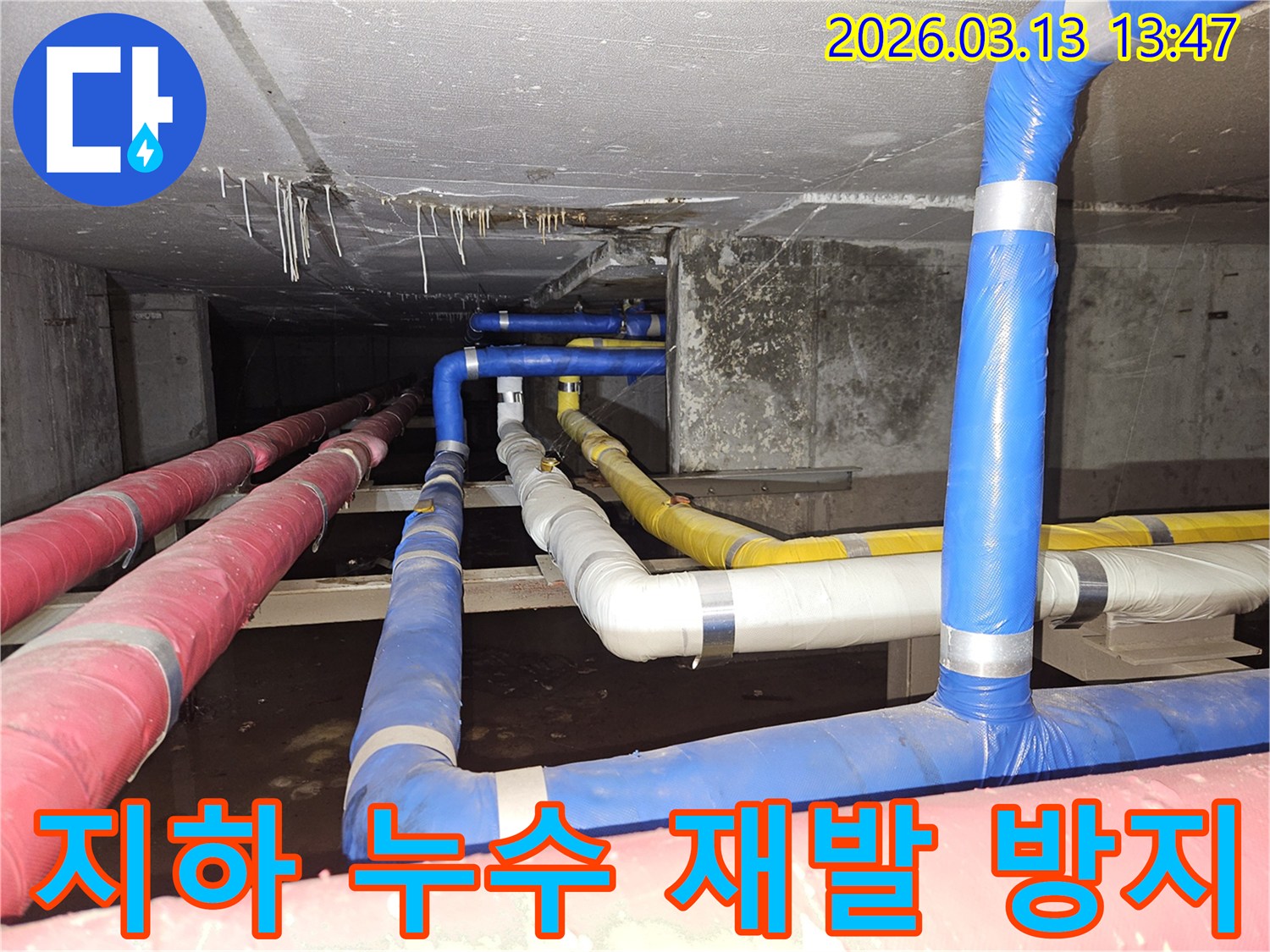 지하-공간의-복잡하게-연결된-배관들에서-발생한-누수를-탐지하고-재발을-방지하기-위한-보수-작업을-진행하는-전문가의-모습