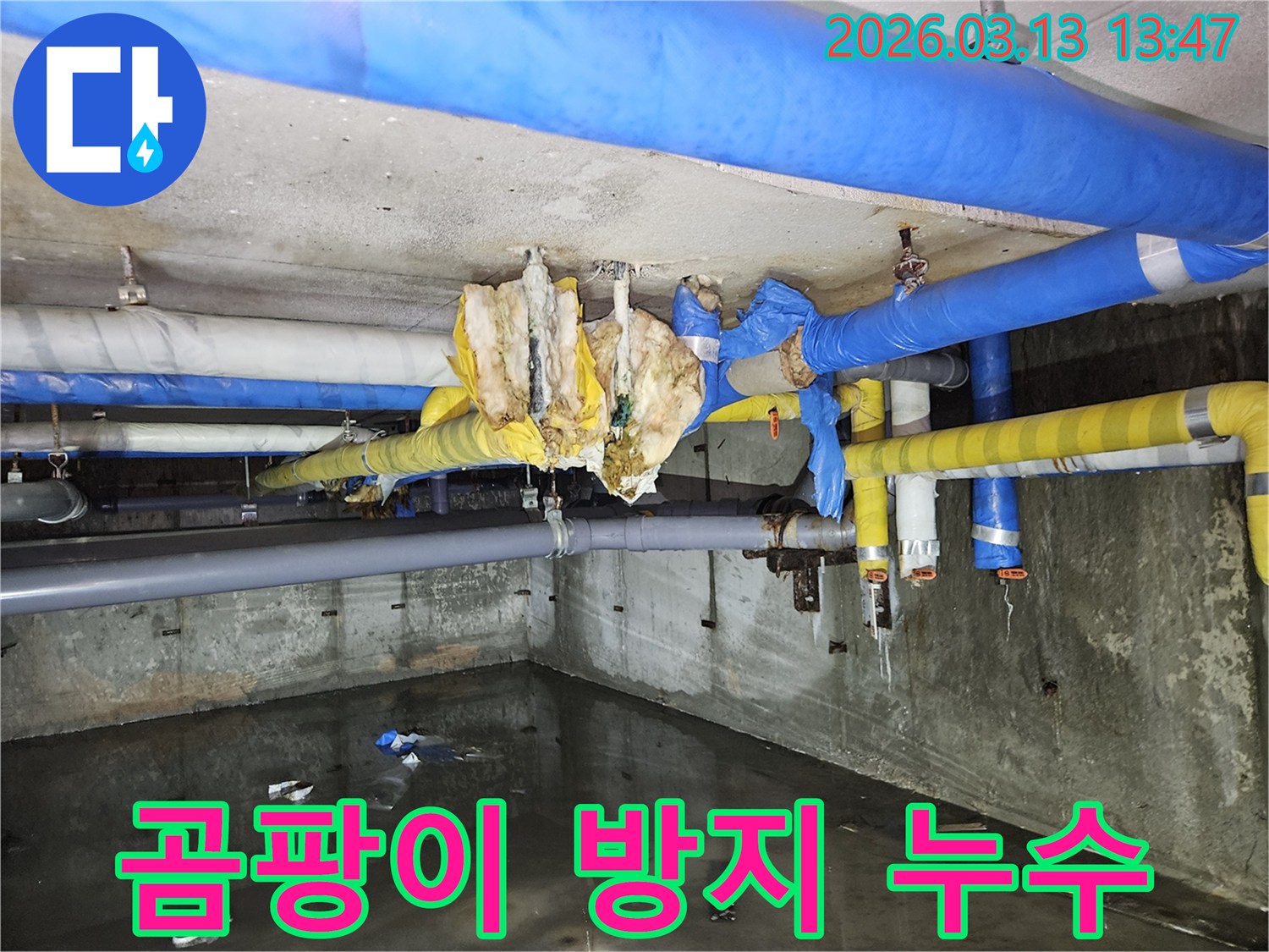 지하-누수로-인한-곰팡이-발생을-막기-위한-누수-수리-현장