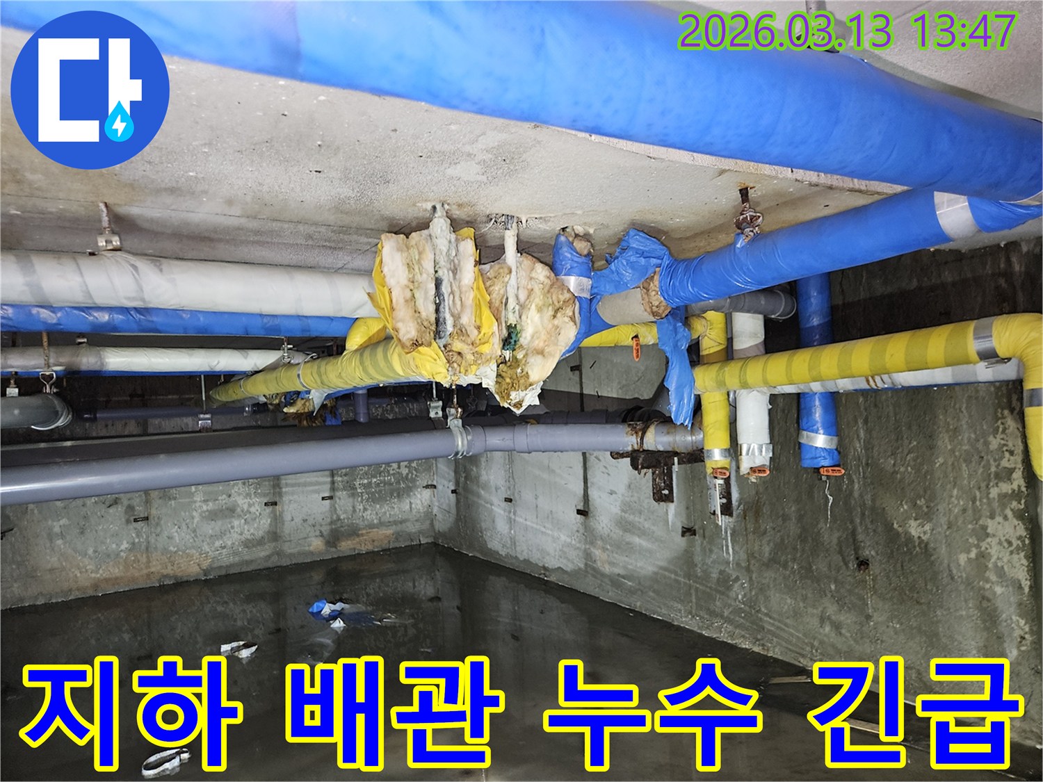 지하-배관에서-물이-새어-바닥에-고인-심각한-누수-현장-모습