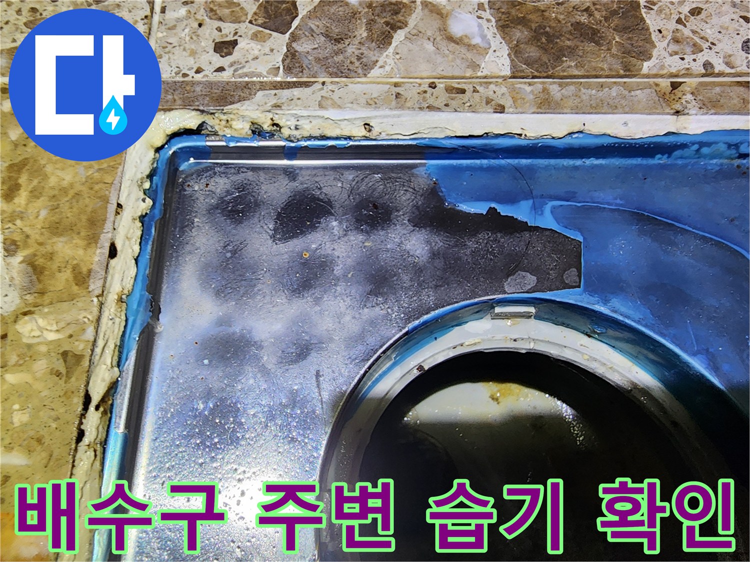 배수 트랩 인근-타일 틈새에 스며든 물기와 습기를 촬영한 이미지입니다.