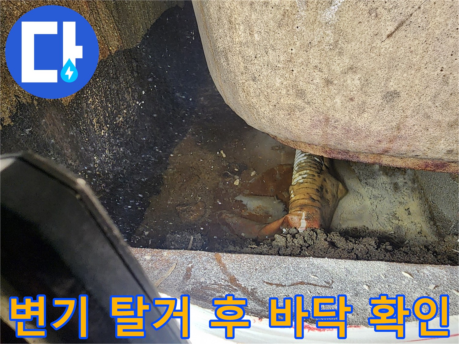 변기 하단부-노출된 타일 및 배수구 주변