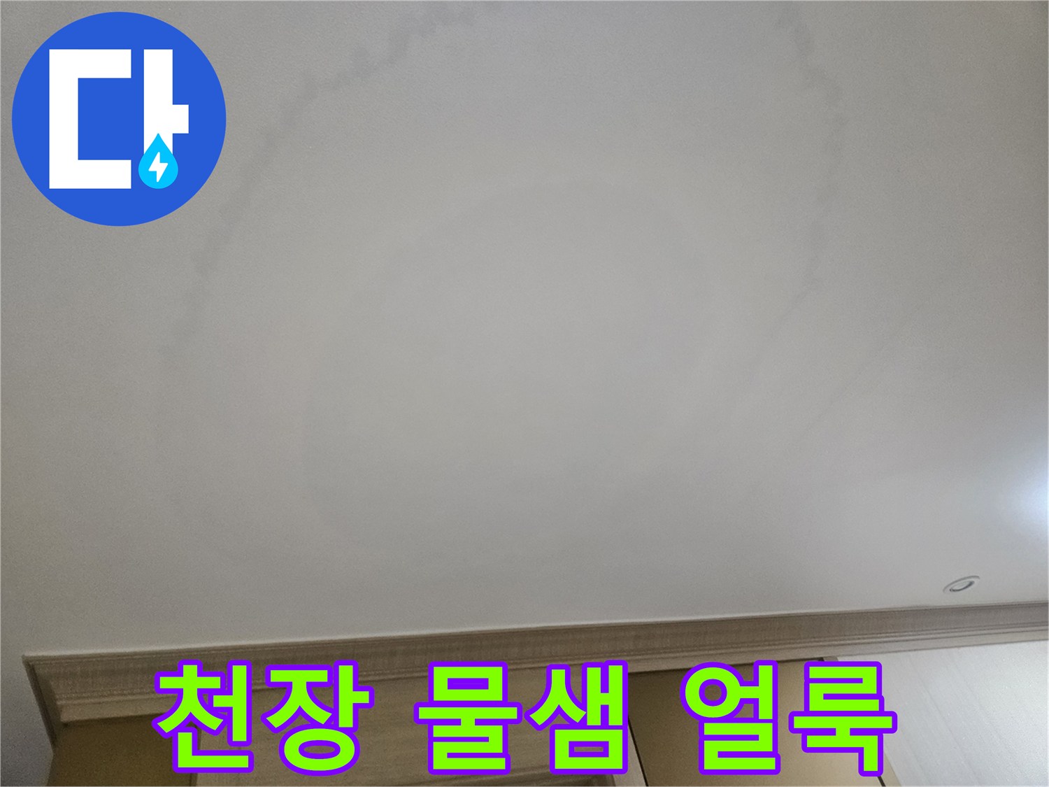 거실 천장 부위의 젖은 흔적과 넓게 퍼진 누수 자국