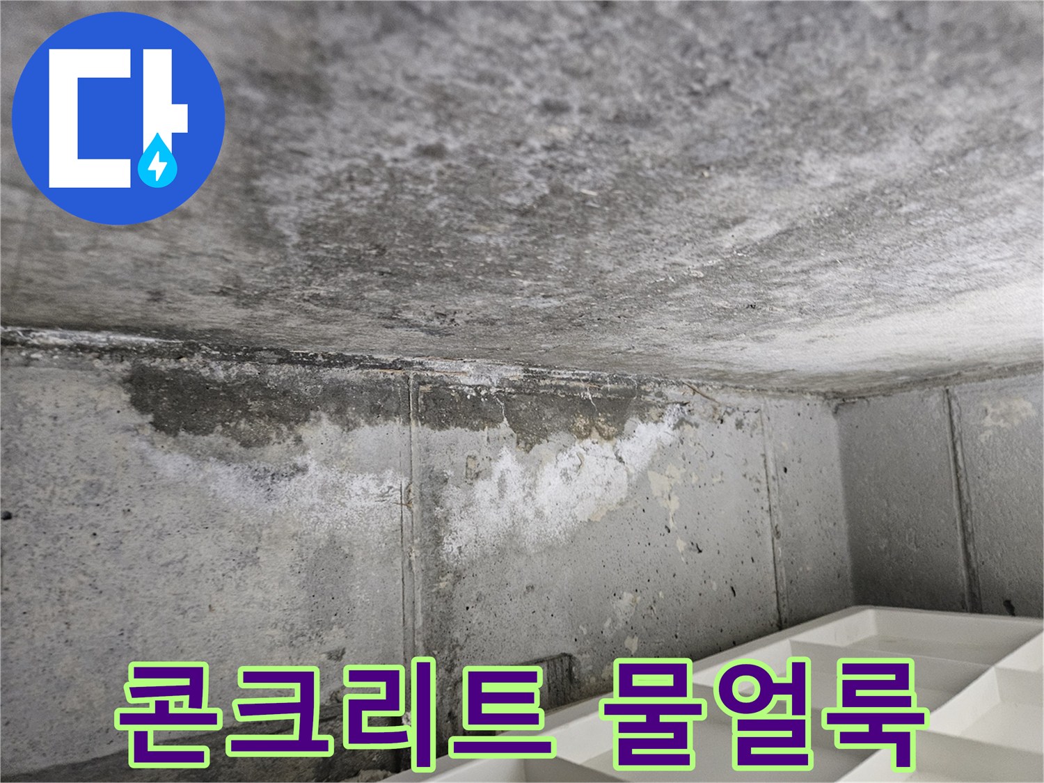 양천구 현장-콘크리트 슬래브에 발생한 심한 물 얼룩과 백화 현상