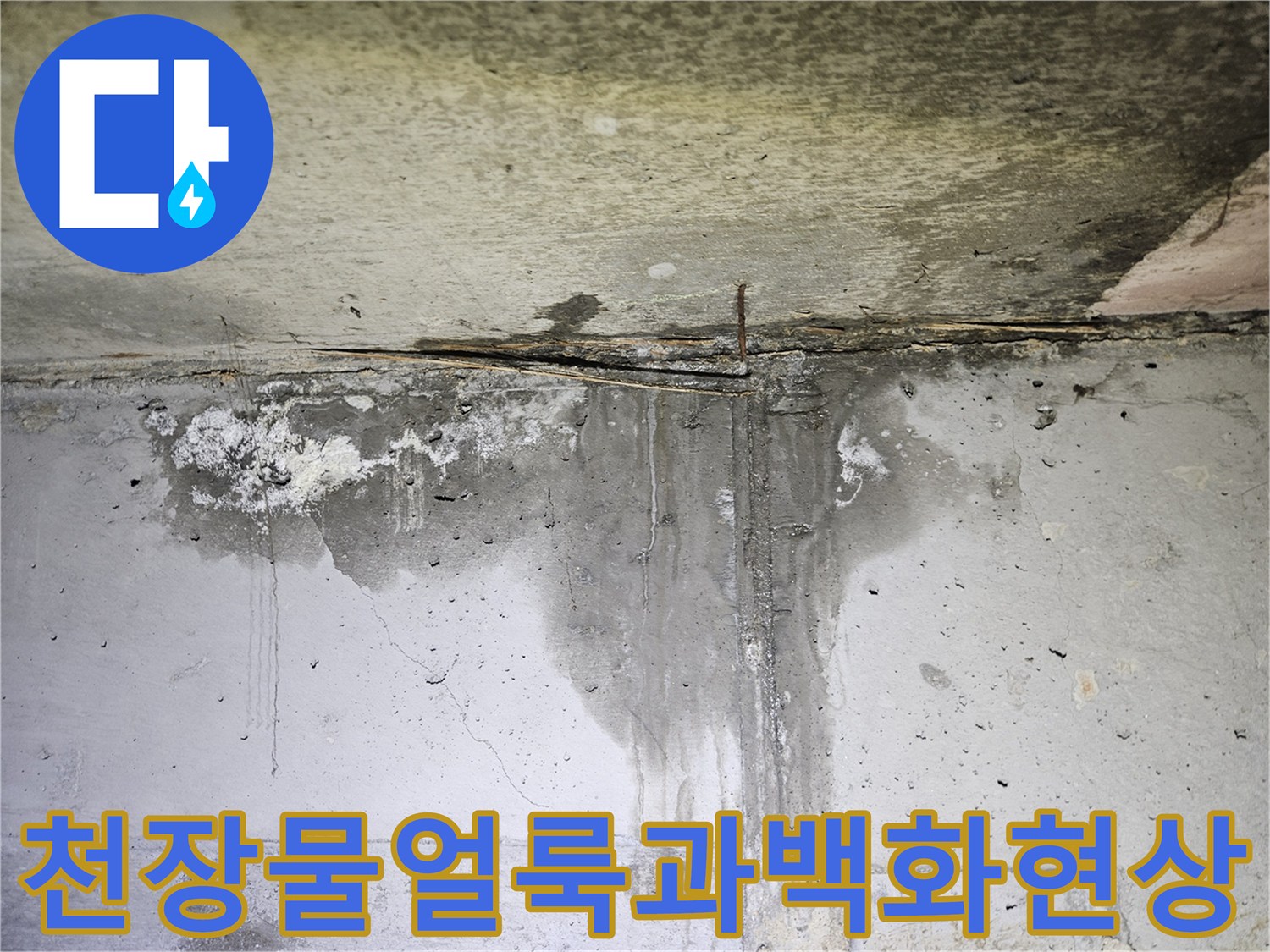 양천구 현장-콘크리트 슬래브의 물얼룩과 백화현상 상태