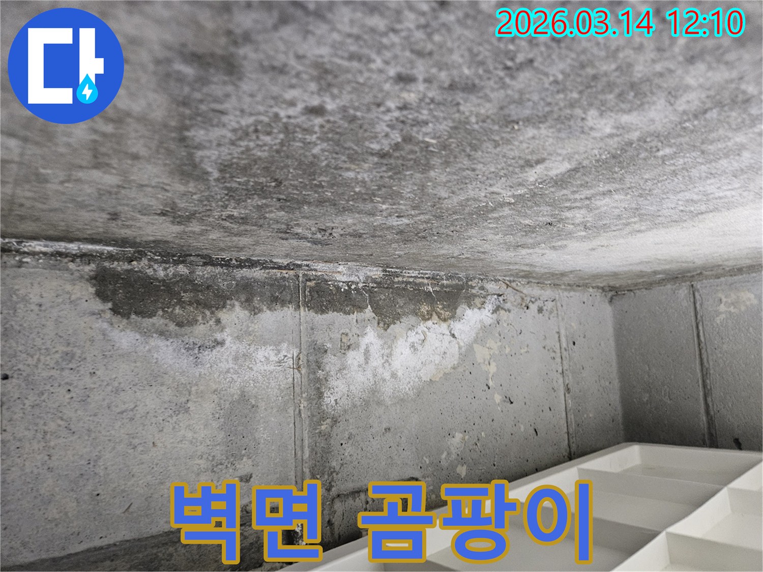 콘크리트-벽면과-천장-경계에서-발생한-누수로-인한-습기와-곰팡이-번식