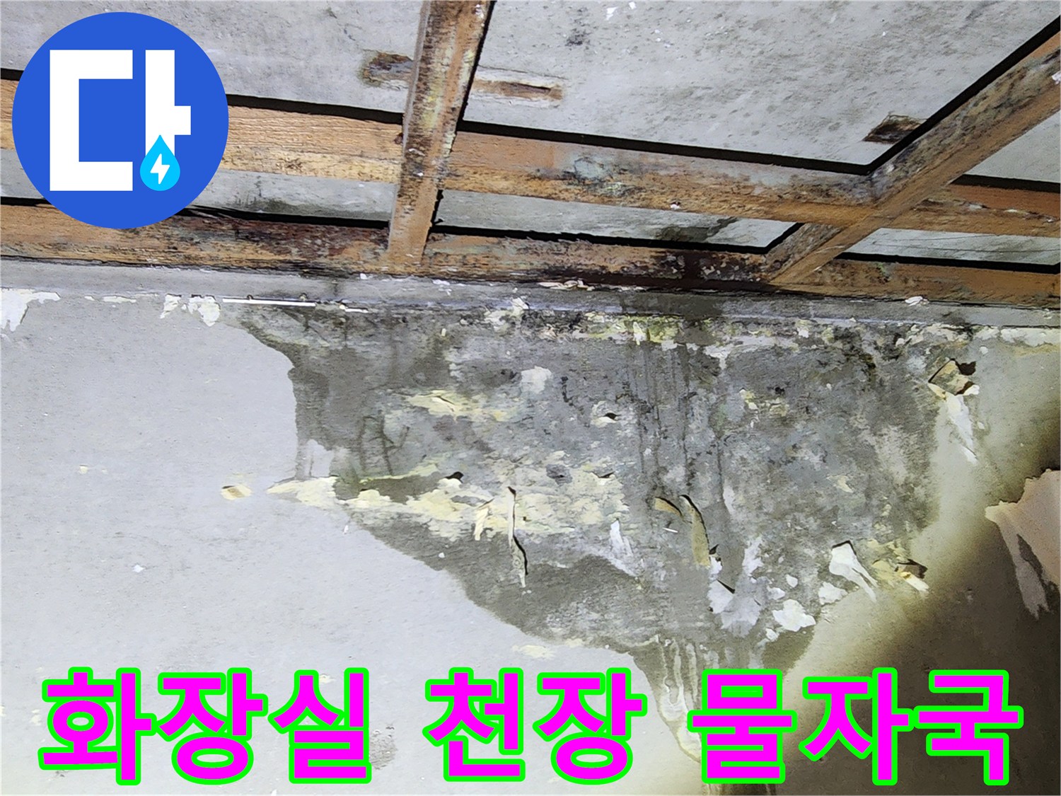 양천구-화장실-천장-벽면-물자국-및-습기-상태