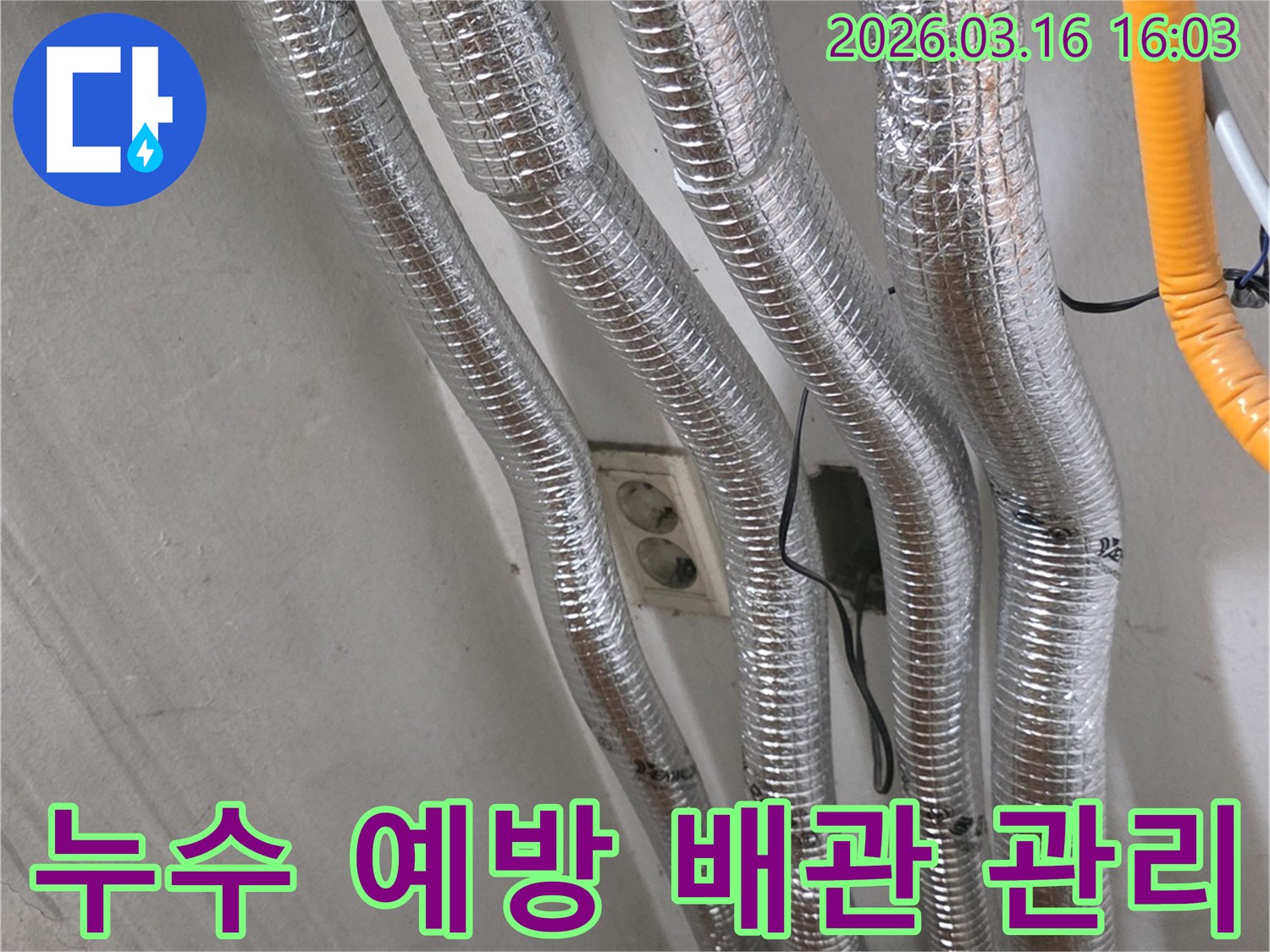 누수 전문 엔지니어가-천장 배관을 주기적으로 점검하여-누수를 사전에 예방하고-체계적으로 관리하는 모습입니다.