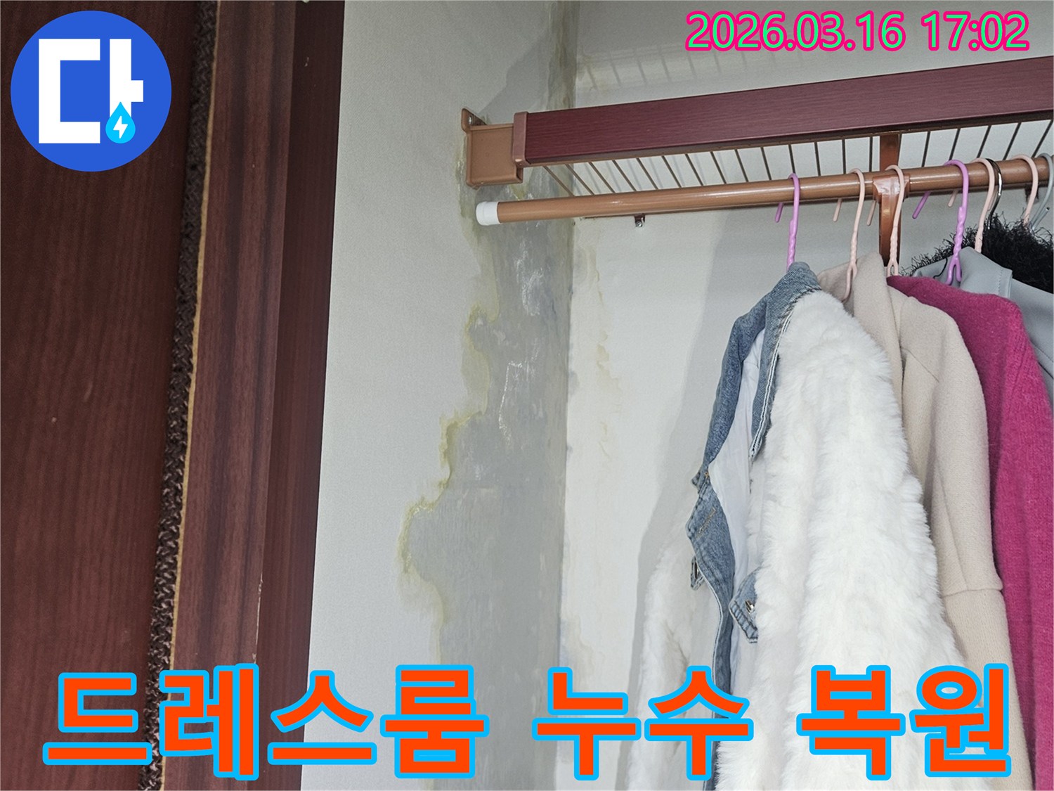 드레스룸 옷장 내부 벽면과 바닥에-누수로 인한-물자국과-습기-곰팡이가-혼재된 모습