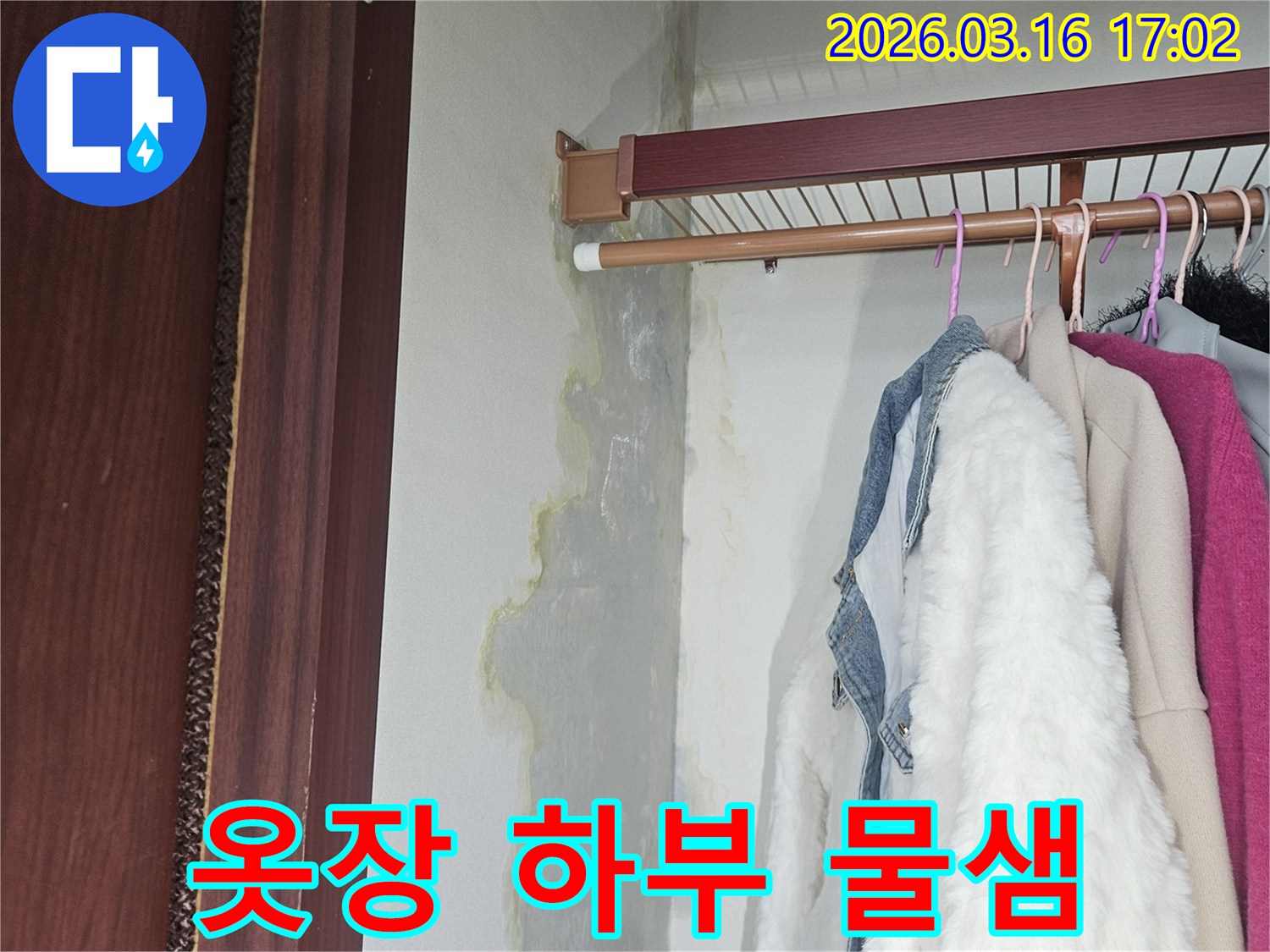 옷장 내부 바닥과 벽면 경계에 물이 스며들어-얼룩과 곰팡이가 생긴 모습