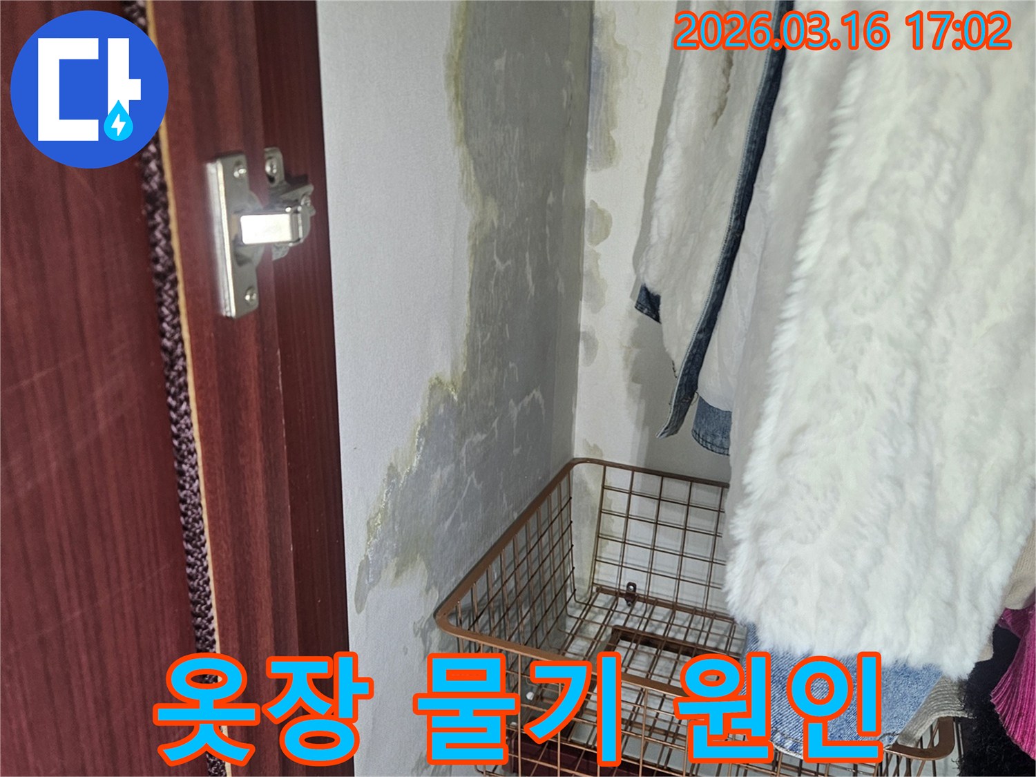 옷장 내부- 벽면에 생긴- 물기와- 곰팡이로 인한- 손상 부위