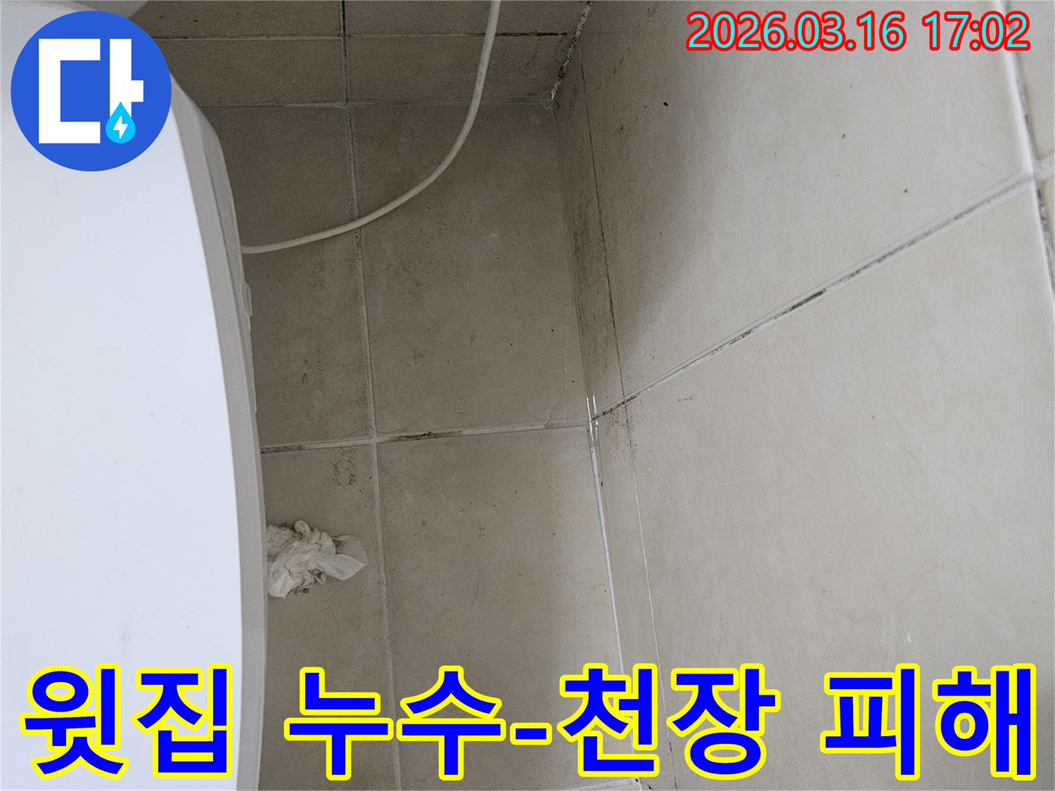 윗집 배관 문제로 인해 천장과 벽면 타일에 검은 곰팡이가 발생하고-일부 천장 마감재가 손상된 누수 피해 현장 사진입니다