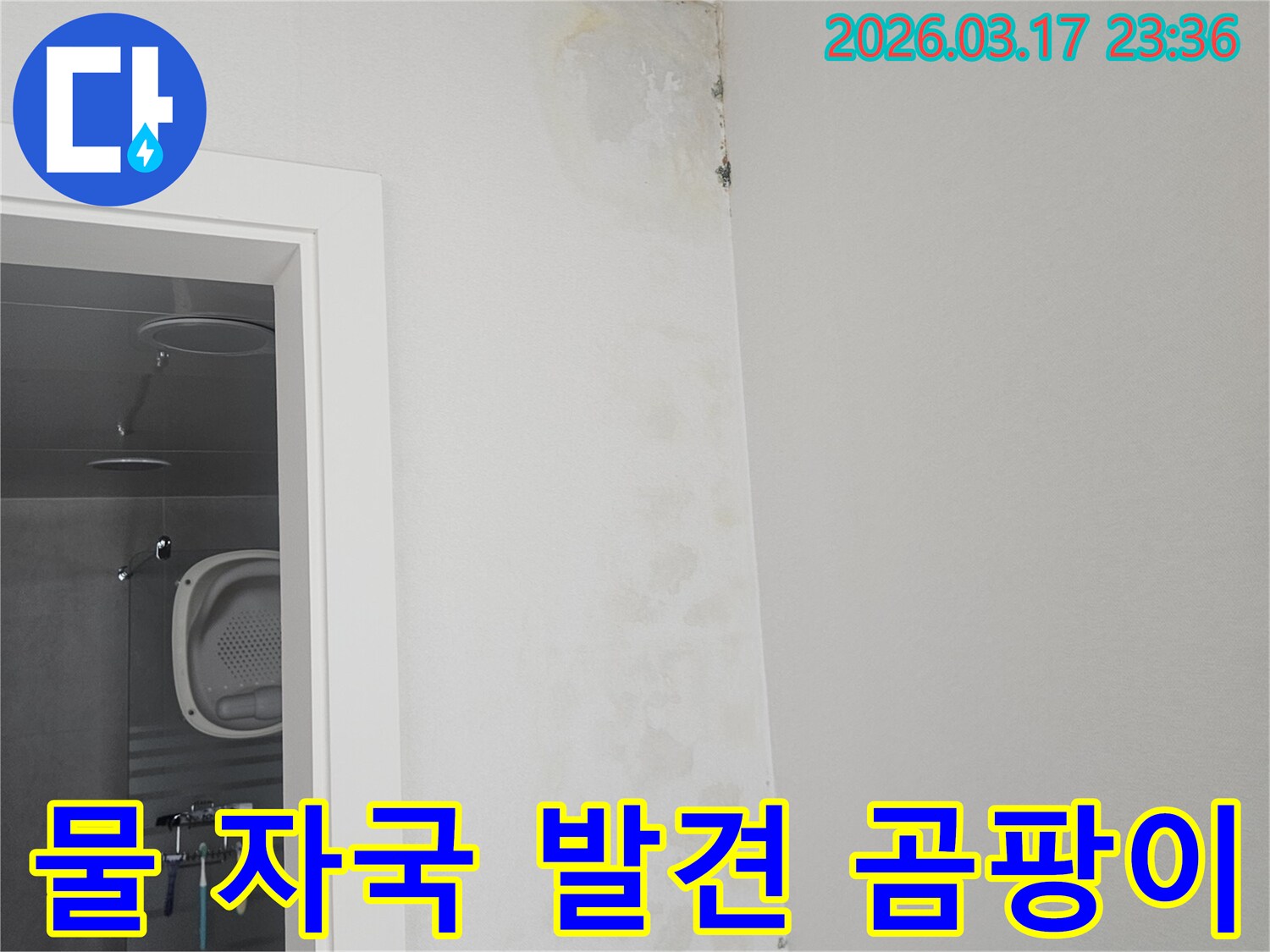물-자국과-곰팡이-발생한-천장-벽면-모습