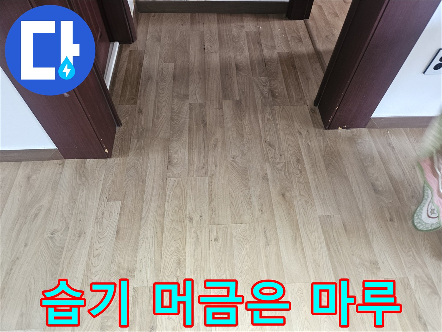 물샘 증상으로 인해 습기가 침투된 나무 마루 바닥