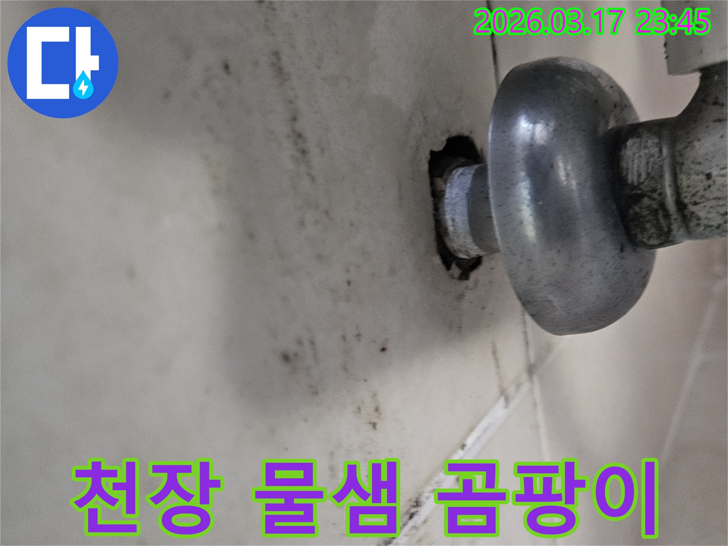 배관 연결 부위에서 시작된 누수-천장으로 번진 곰팡이 흔적입니다