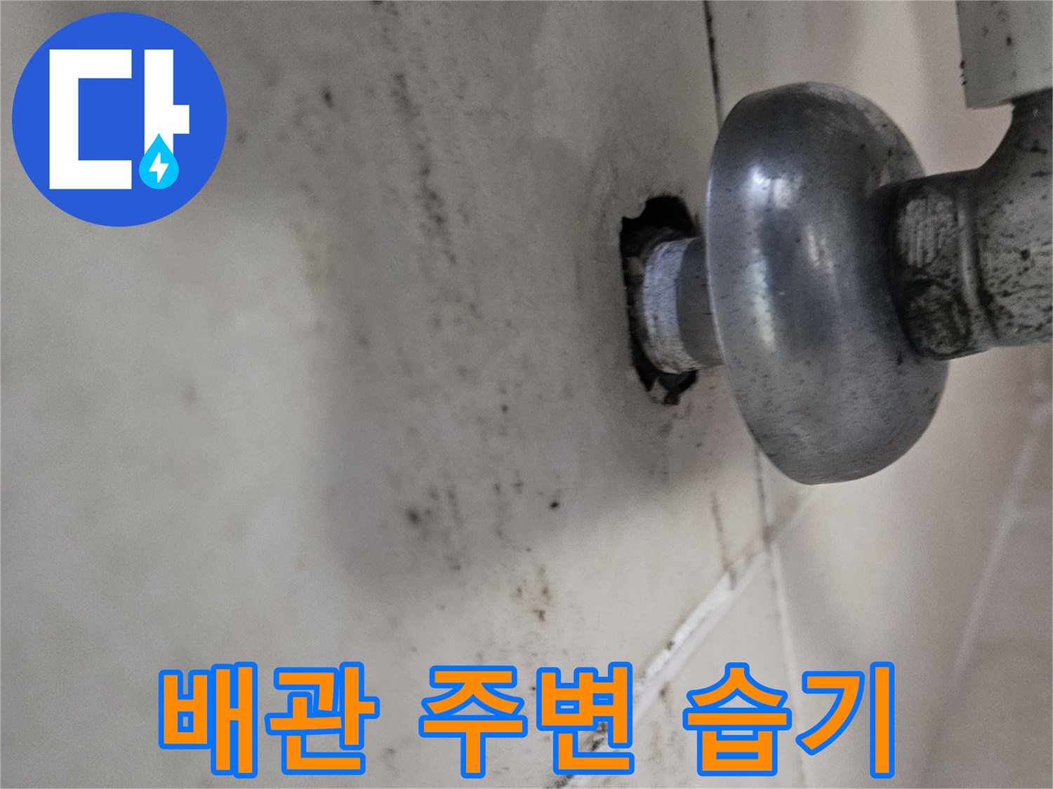 배관 연결 부위의 습기 침투 및 곰팡이 발생 상태