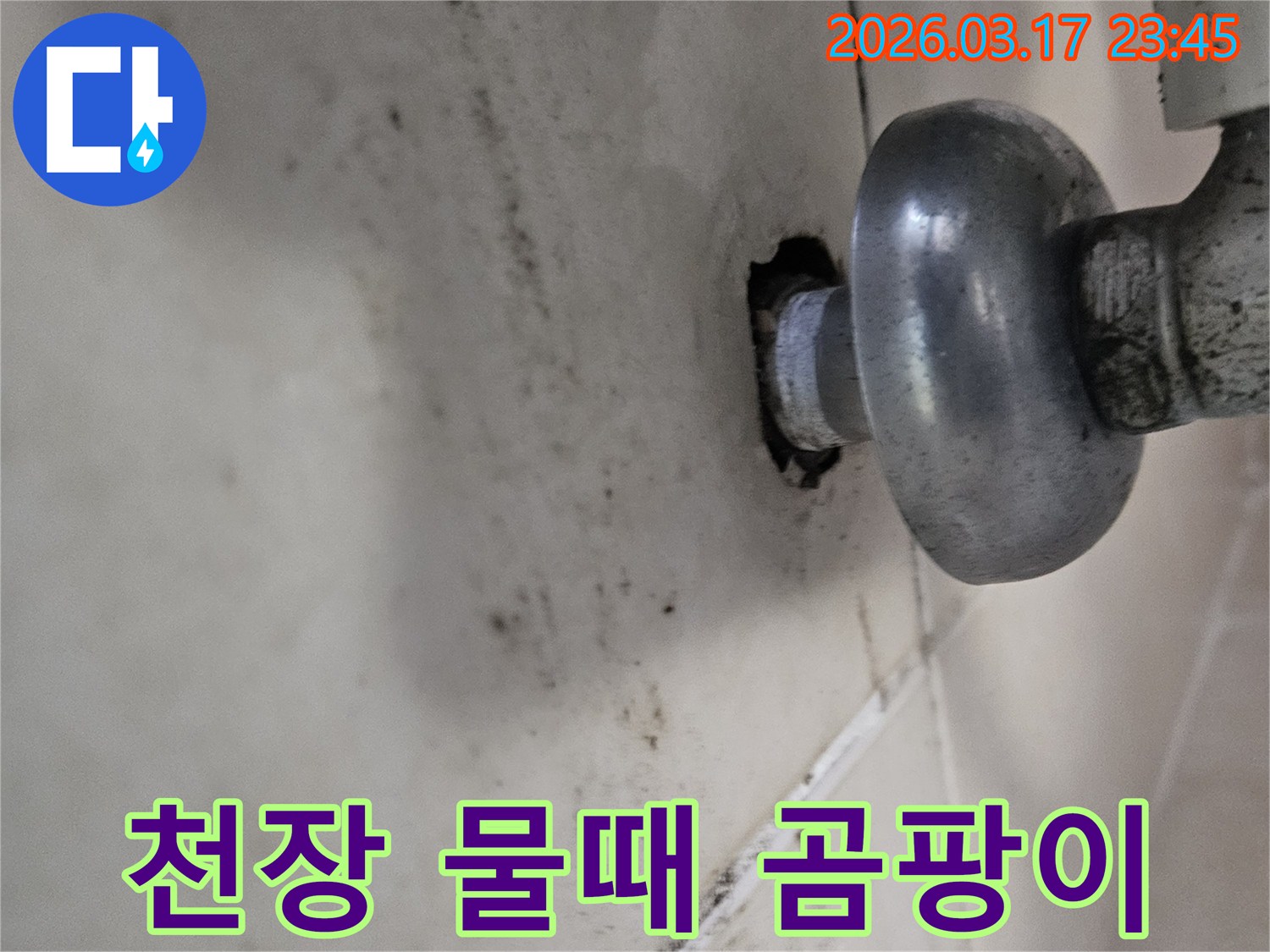 오랜 시간 지속된 누수로 인해-천장 마감재가 손상되고 곰팡이가 번식했습니다