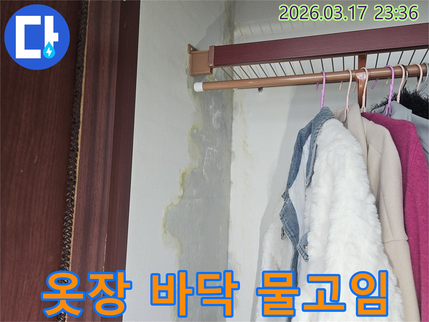 옷장 바닥에 물이 고여-습기와 곰팡이가-우려되는 현장 사진입니다.
