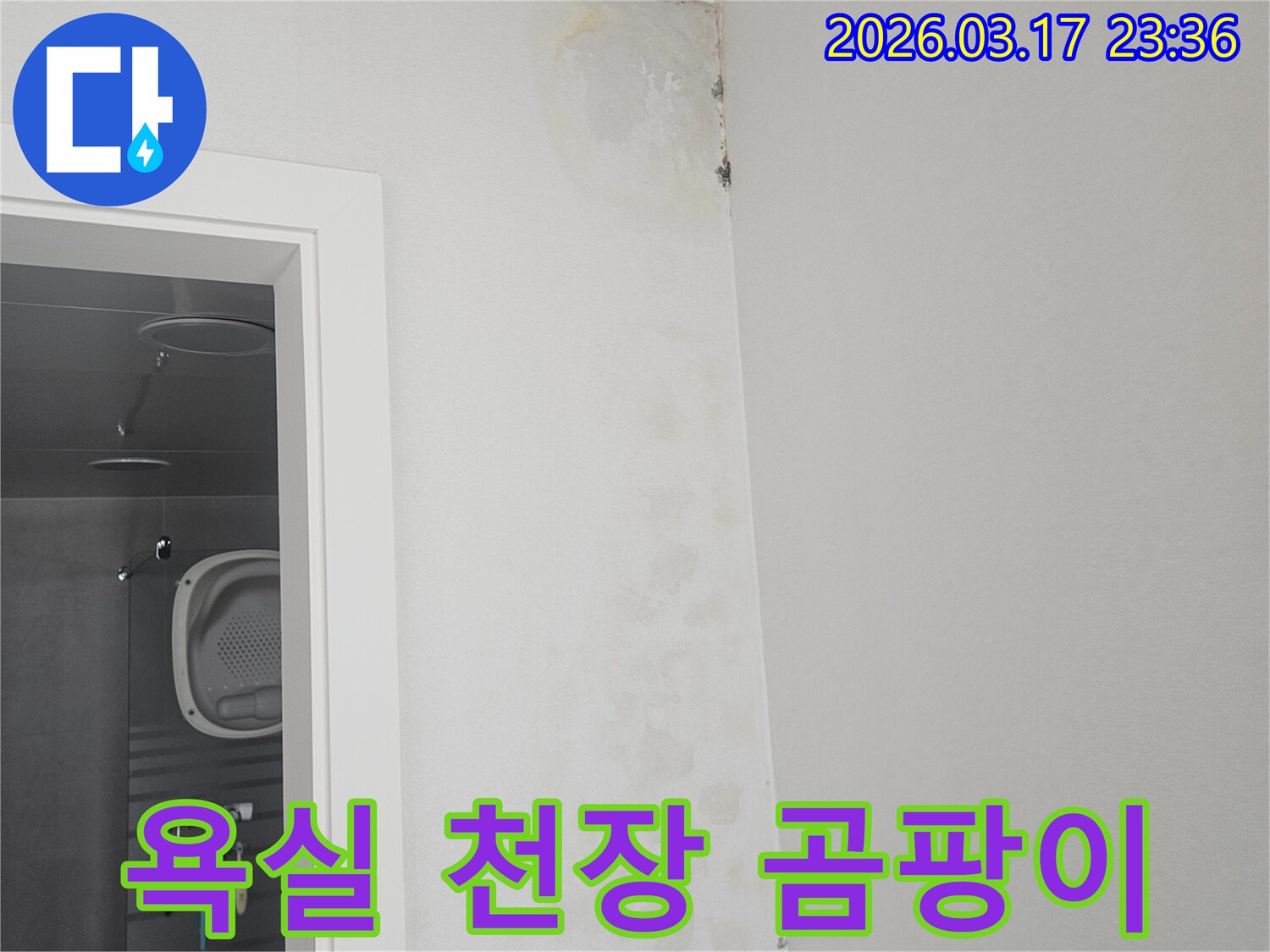 욕실-천장-모서리에-나타난-곰팡이와-물-자국-확인