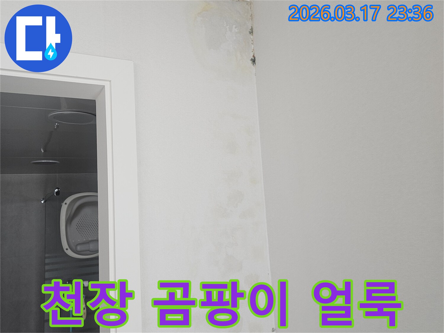천장-모서리에-발생한-곰팡이와-물-얼룩-확인