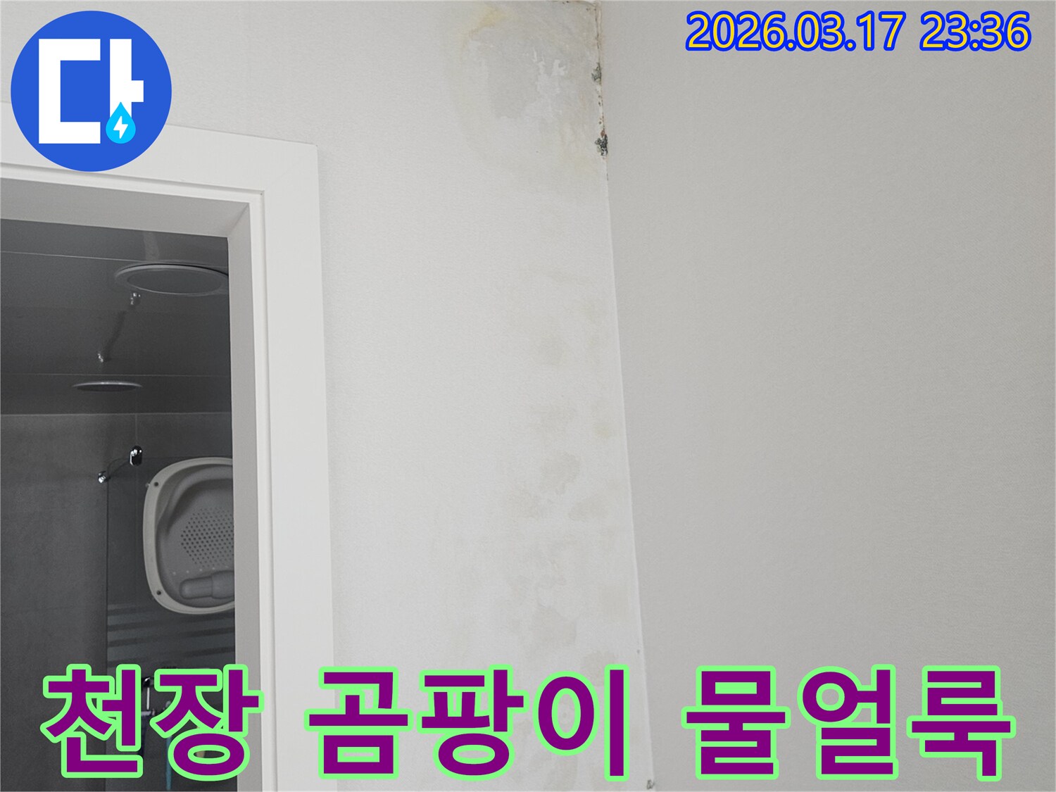 천장-모서리에-발생한-곰팡이와-물-얼룩-확인