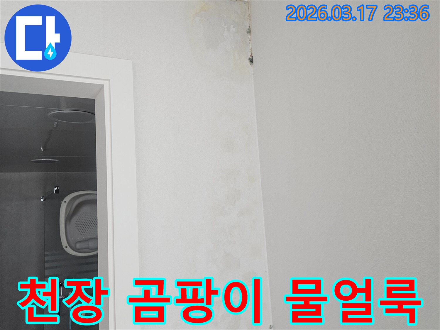 천장-모서리에-발생한-곰팡이와-물-얼룩-확인