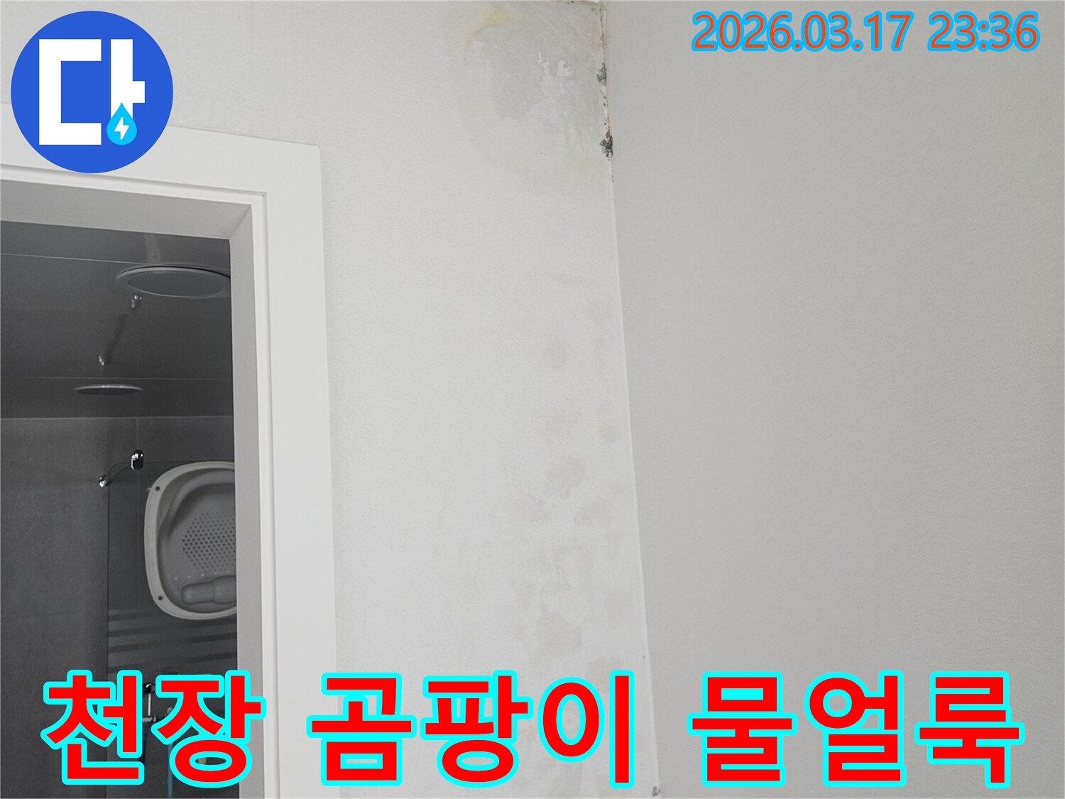 천장-모서리에-발생한-곰팡이와-물-얼룩-확인