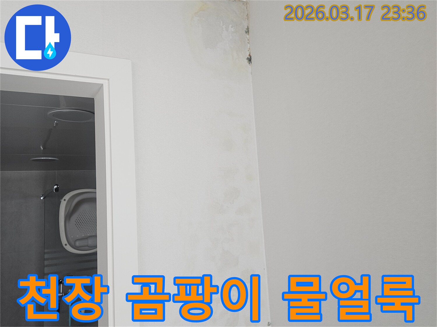 천장-모서리에-발생한-곰팡이와-물-얼룩-확인