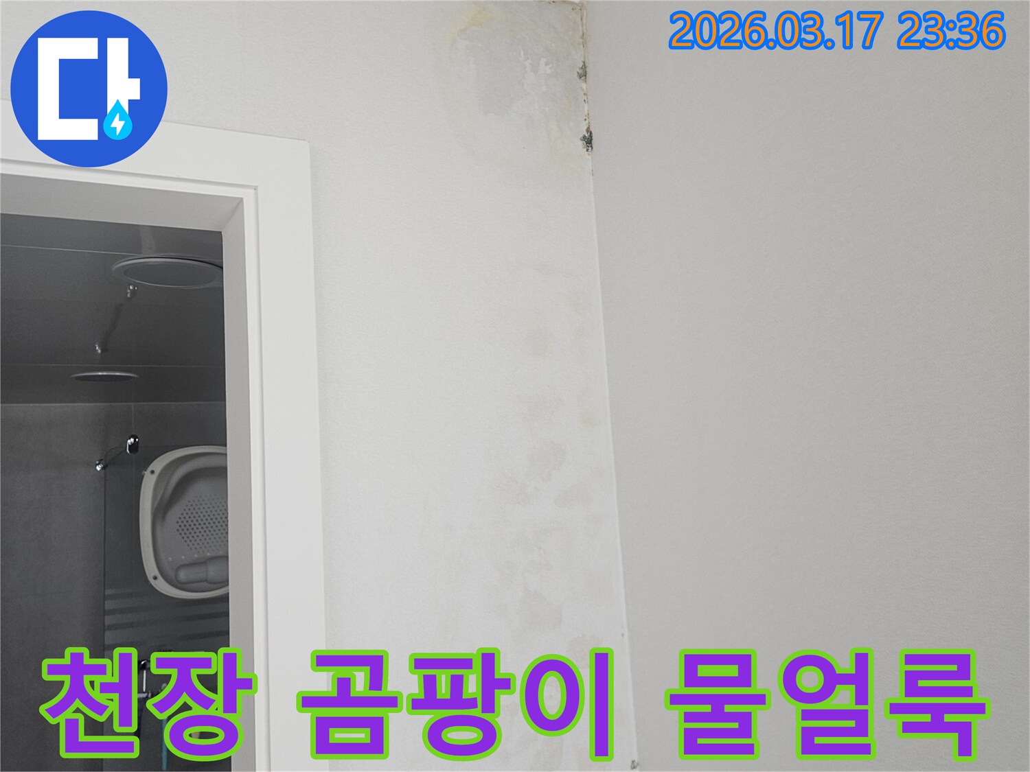 천장-모서리에-발생한-곰팡이와-물-얼룩-확인