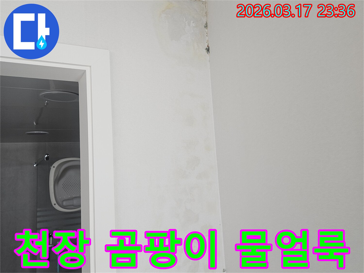 천장-모서리에-발생한-곰팡이와-물-얼룩-확인