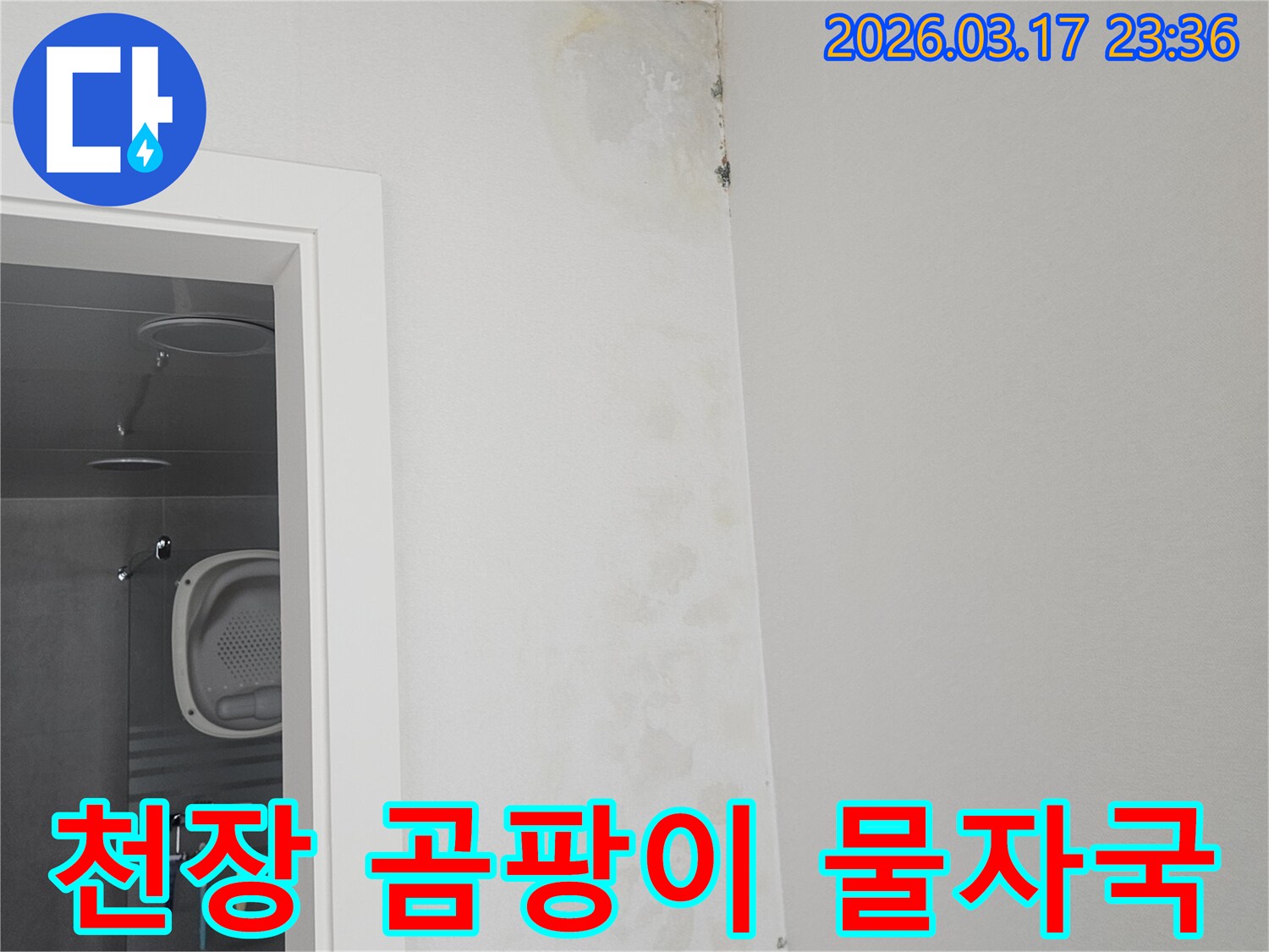 천장-모서리에-발생한-곰팡이와-물-자국-확인
