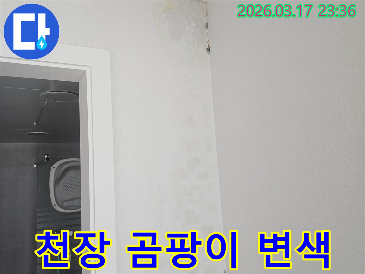 천장-모서리에-발생한-곰팡이와-변색-현상-확인