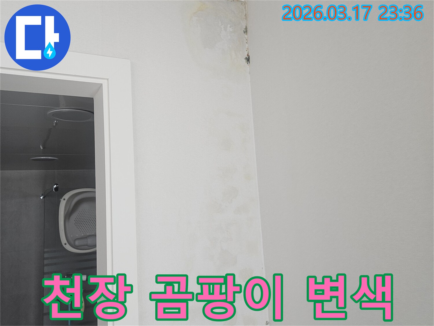 천장-모서리에-발생한-곰팡이와-변색-현상-확인
