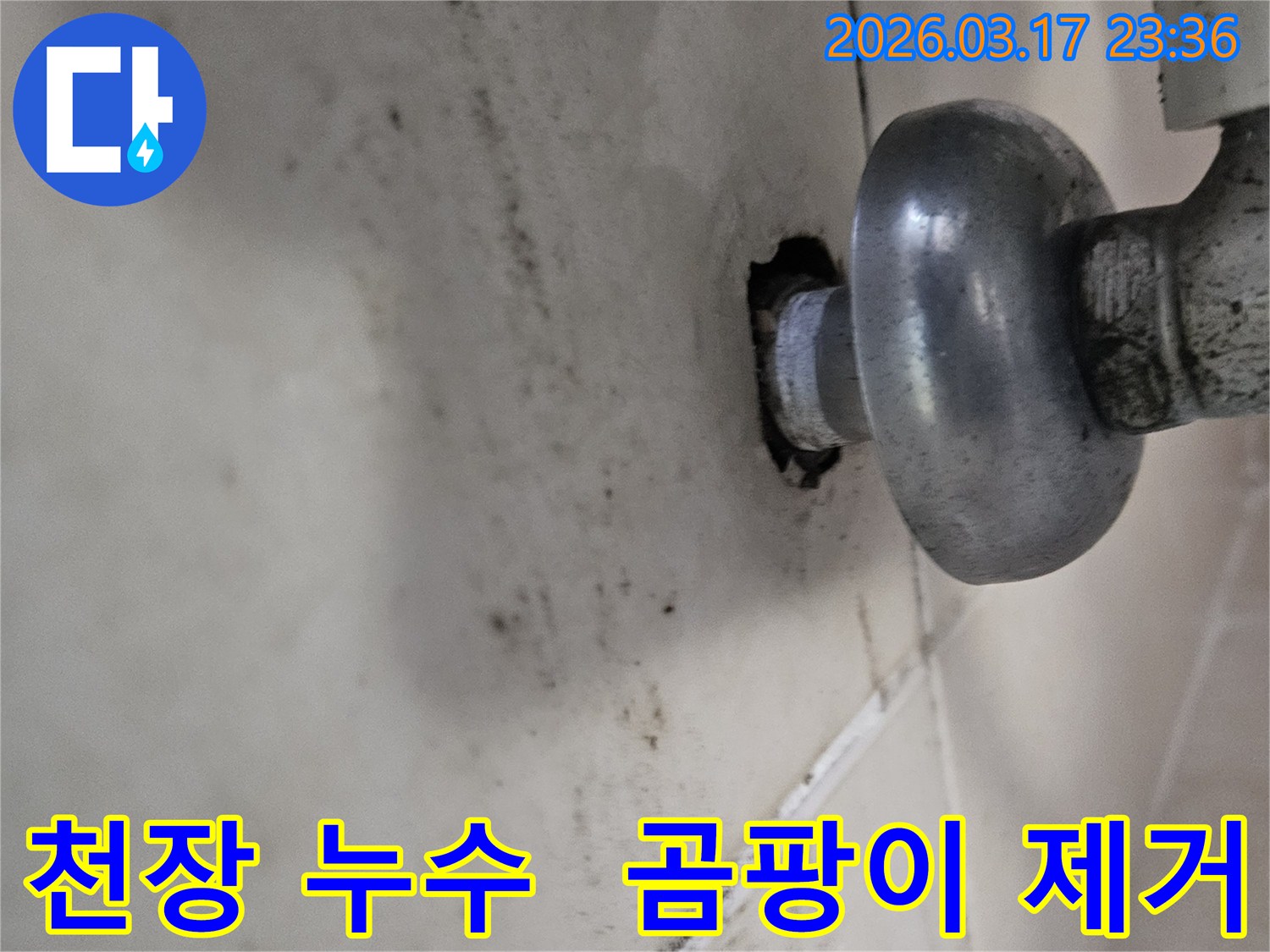 천장-배관에서-발생한-누수로-인해-오염된-벽면과-곰팡이-제거가-필요한-배관-모습