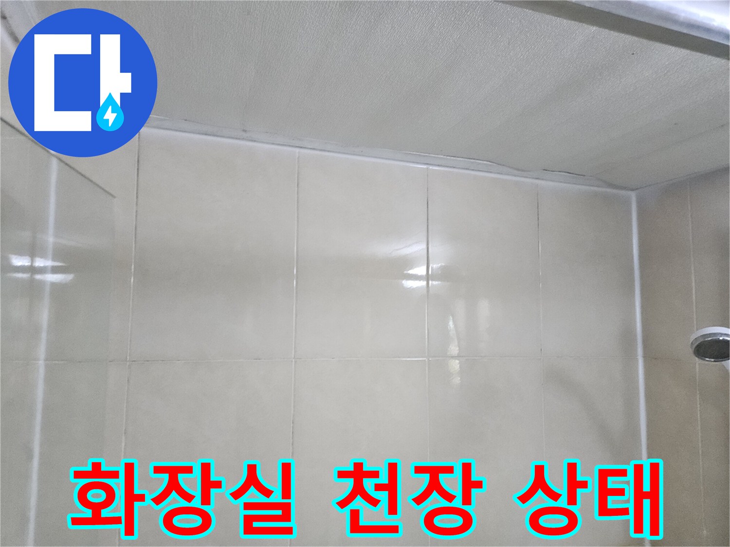 화장실-천장-타일-및-천장재-상태-확인
