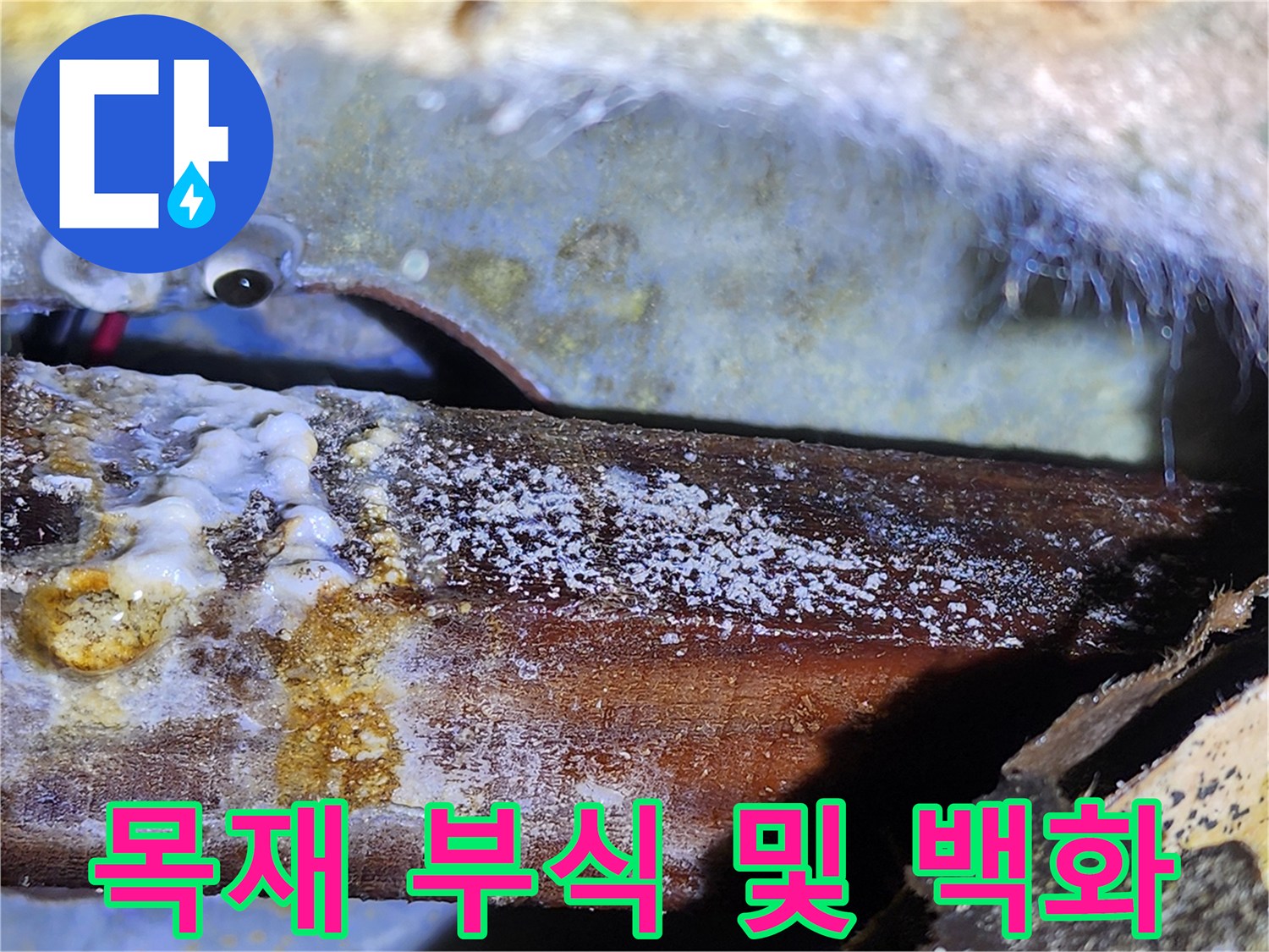누수로-오염된-천장-목재-구조물-상세