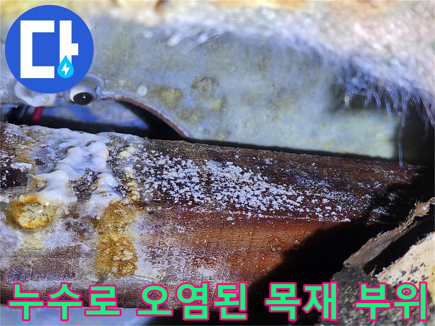 물이 스며든-천장 구조물의 변색과 곰<0xAE>팡이 현상