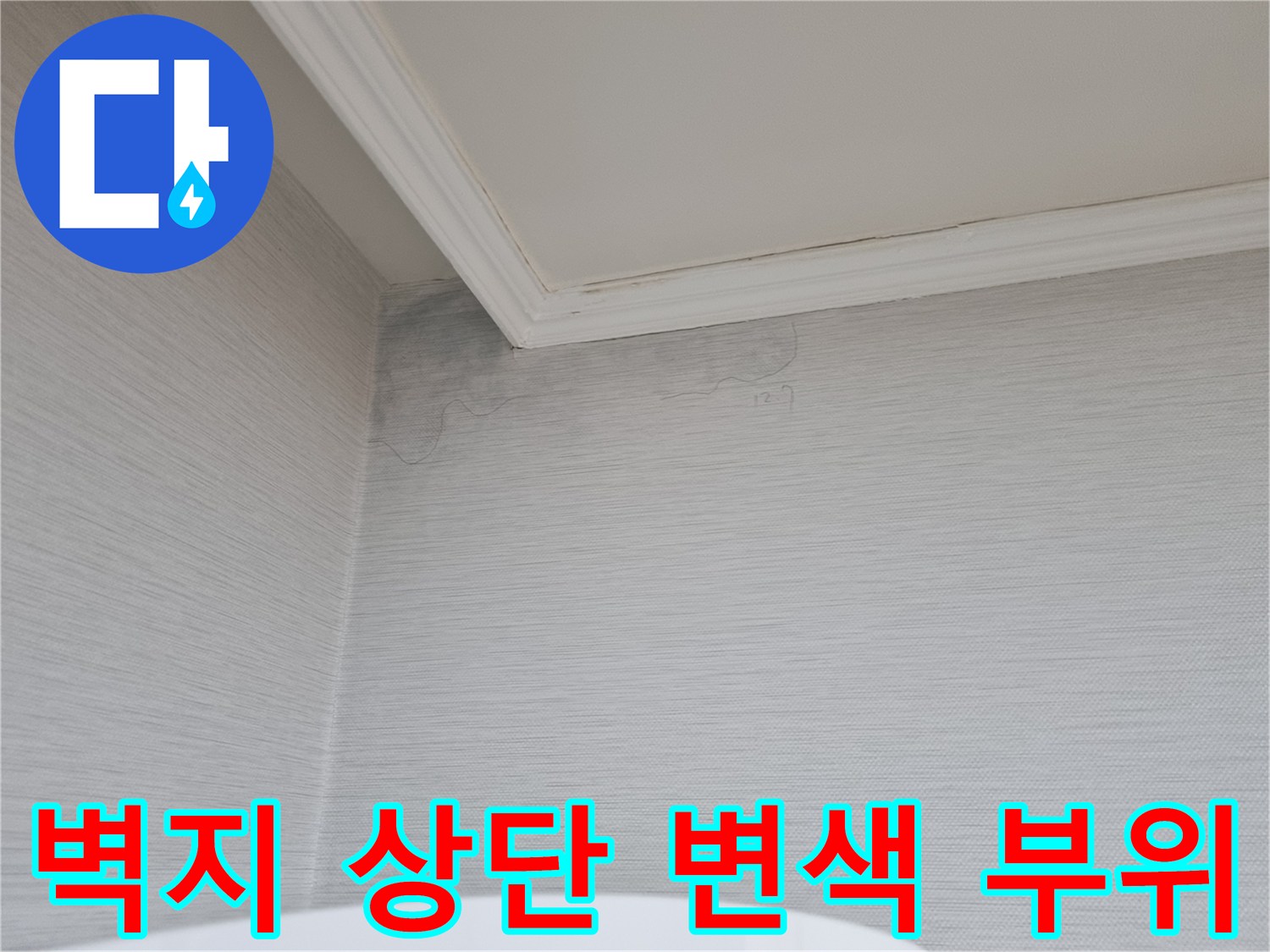 벽면 위쪽의 젖은 듯한 얼룩 상세 사진