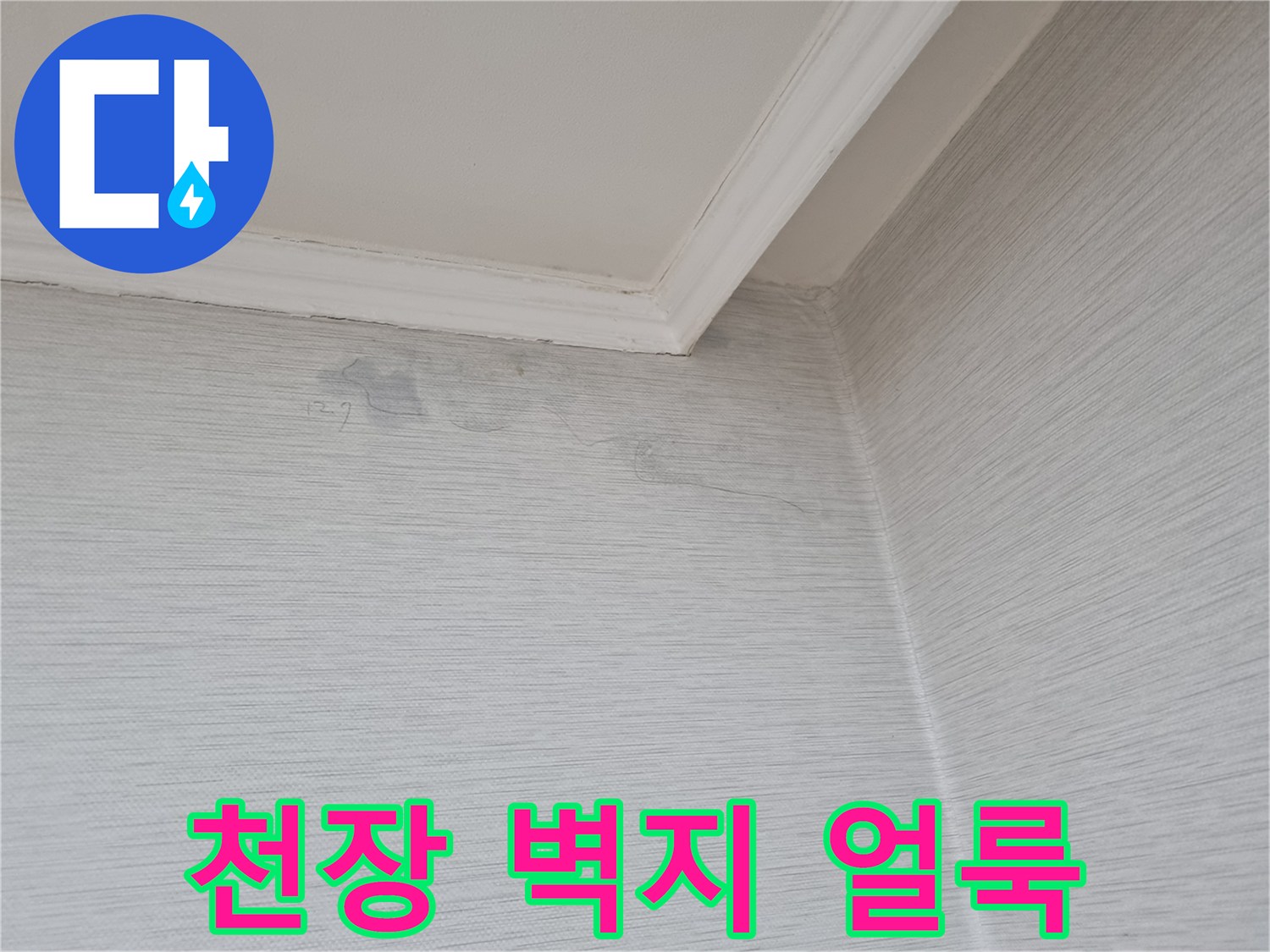분당 정자동 아파트 천장 벽지 변재 및 얼룩 상태