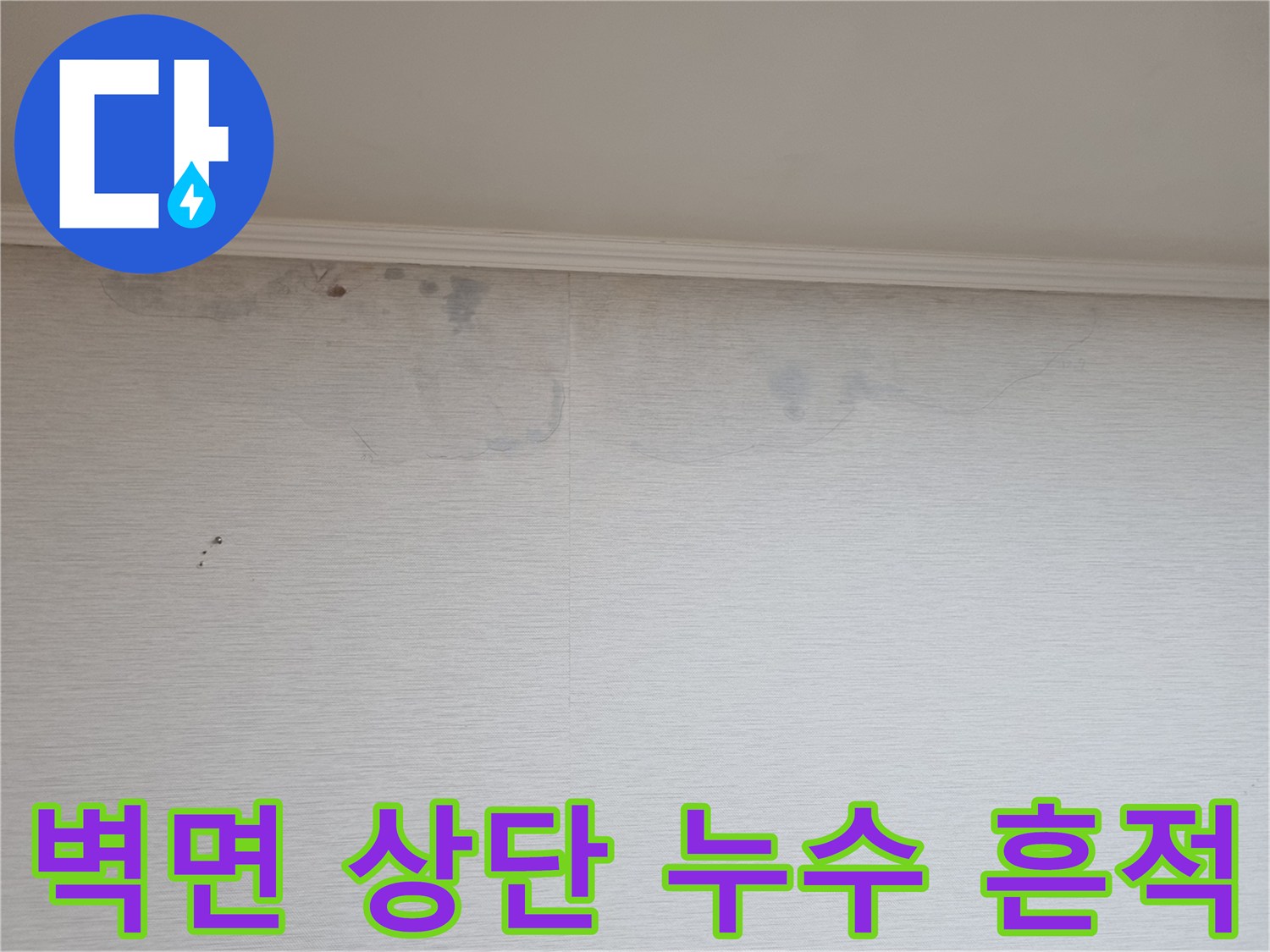 천장 벽면 전체에 나타난 광범위한 물샘 변색 부위