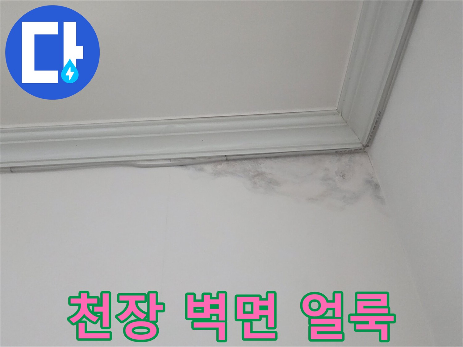 천장-몰딩-부근의-심한-젖음-및-얼룩-현상