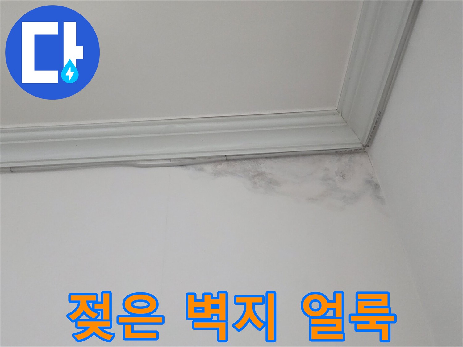 천장-몰딩-하단에-발생한-누수-변색-부위