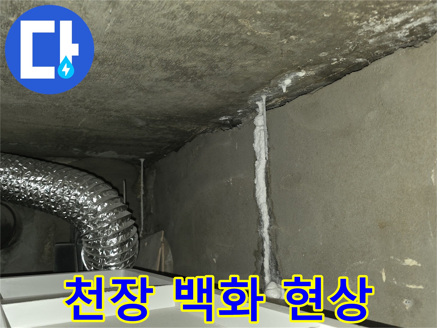 콘크리트-천장-벽면의-하얀-백화현상-사진
