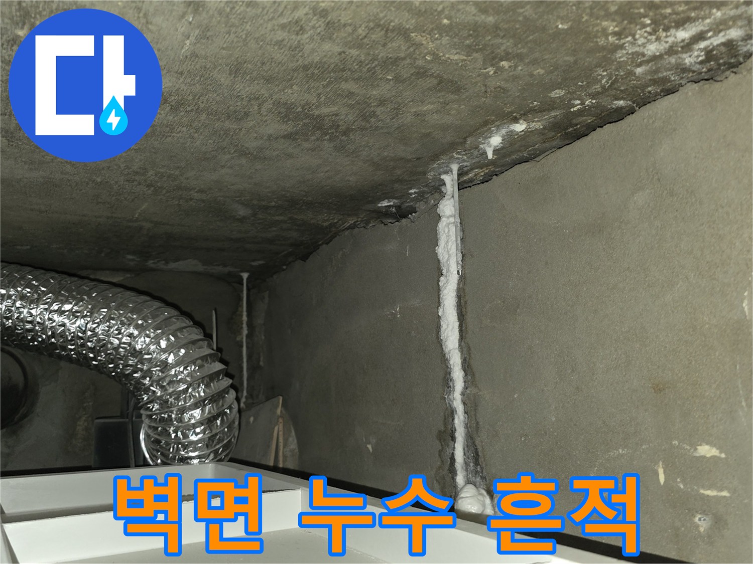 콘크리트 틈새-물기가 스며들어 하얗게 변한 벽면 부위