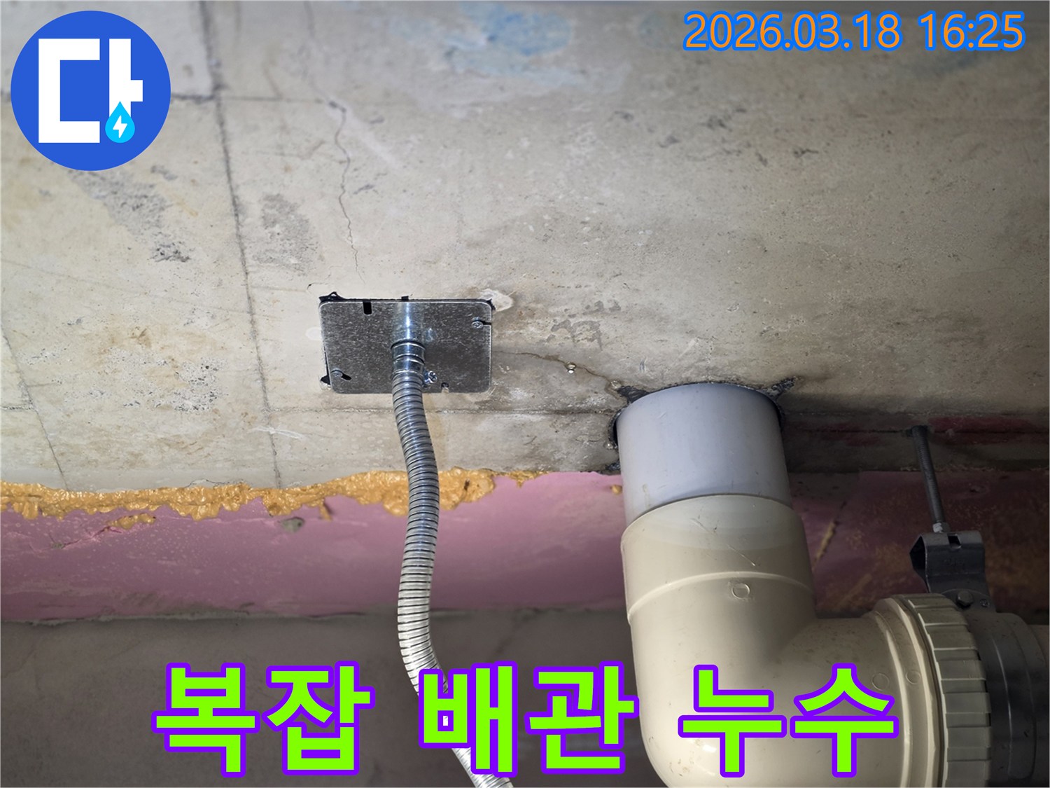 김포-걸포동-누수-현장-복잡한-배관-구조-정밀-탐지-작업